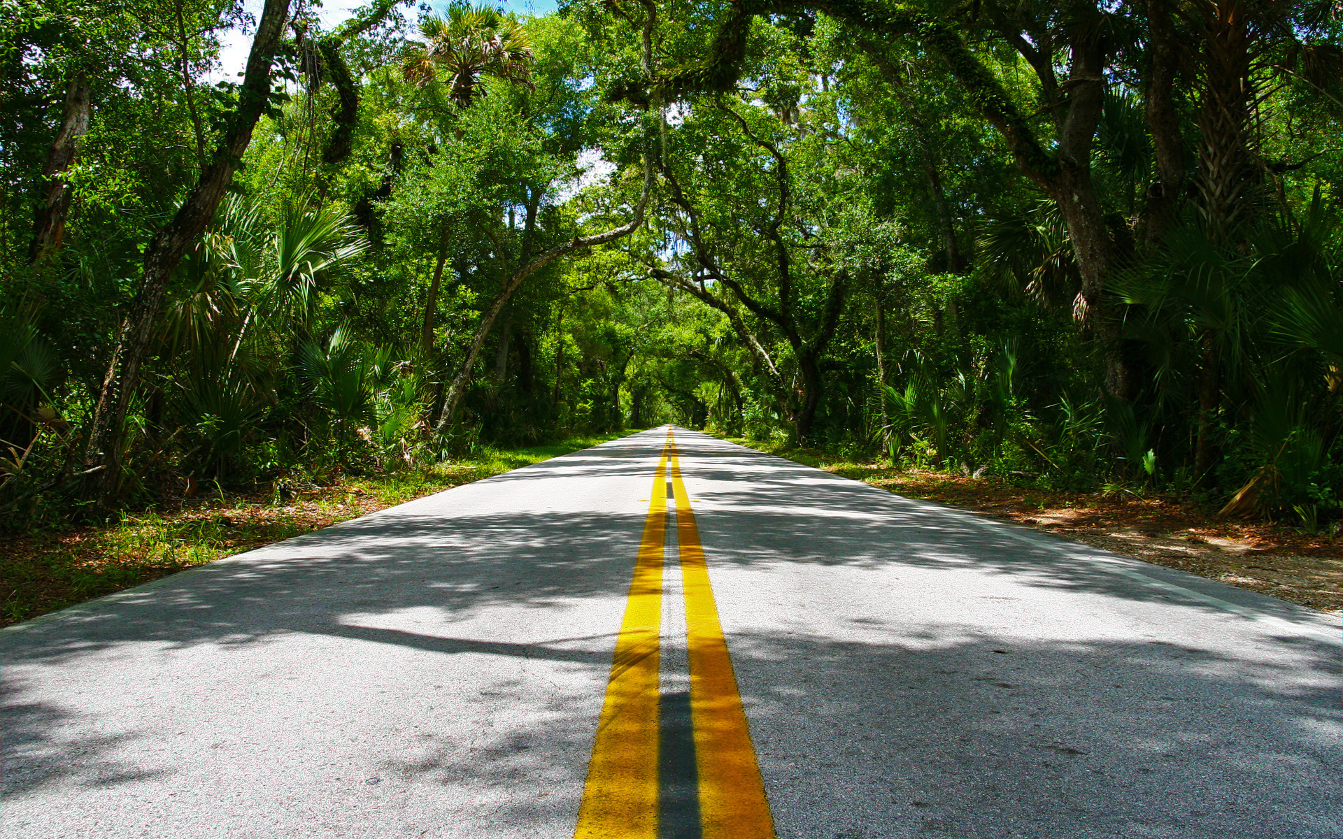 Обои дорога, деревья, линии, разметка, асфальт, road, trees, line, markup, asphalt разрешение 1920x1200 Загрузить