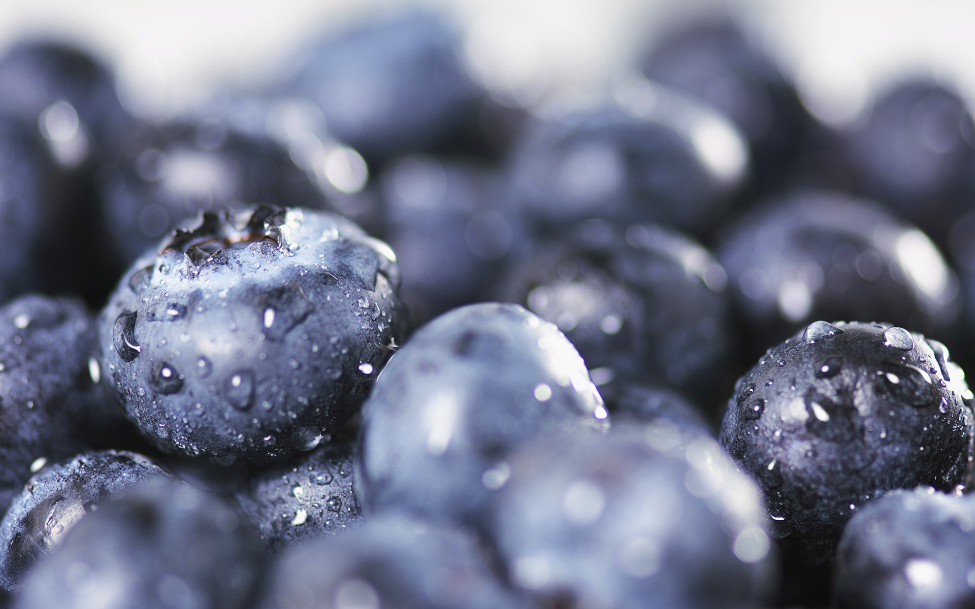 Обои капли, ягоды, урожай, черника, крупным планом, drops, berries, harvest, blueberries, closeup разрешение 1920x1200 Загрузить