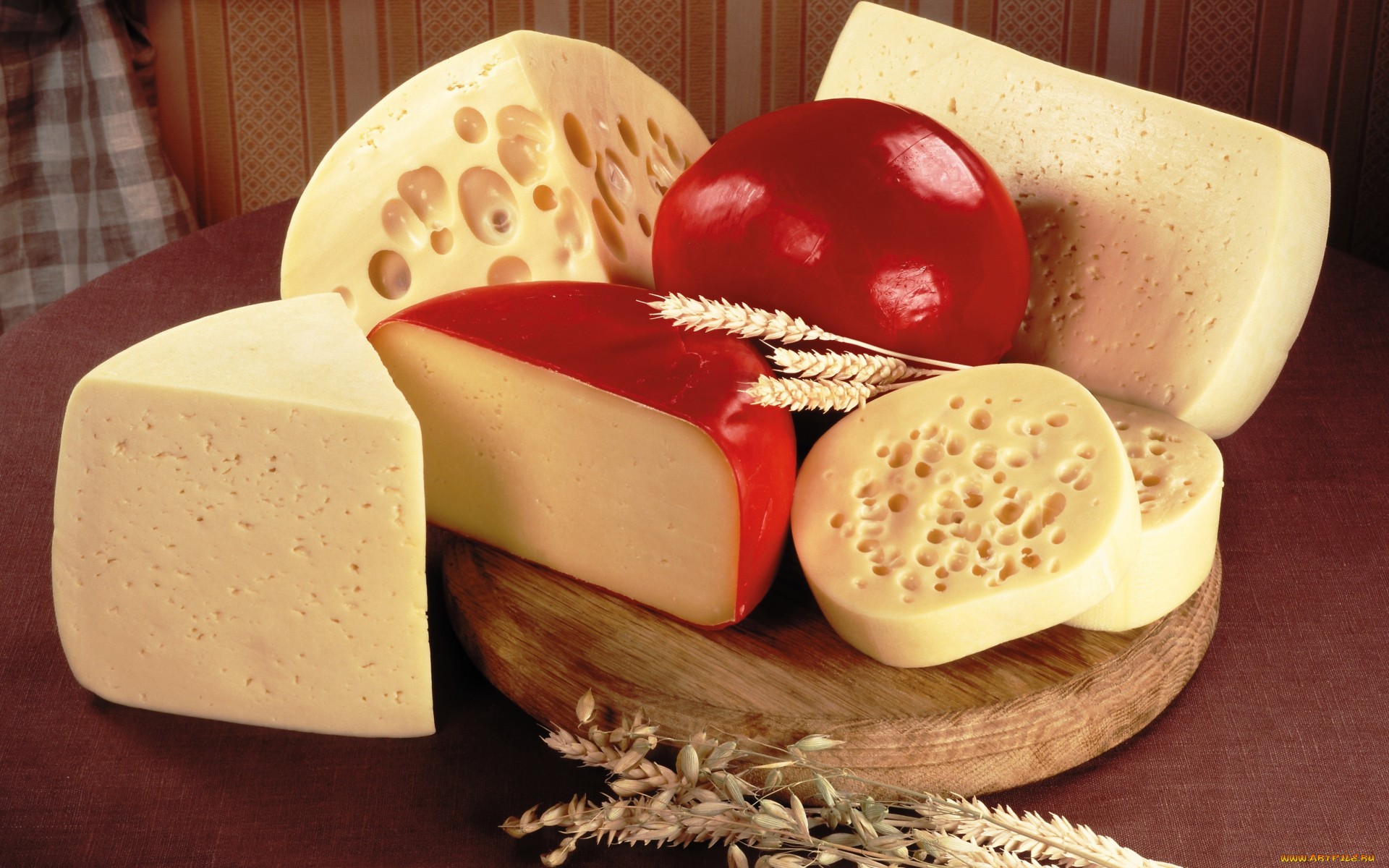 Обои колосья, сыр, разные, сыры, брынза, сорта, ears, cheese, different, varieties разрешение 1920x1200 Загрузить