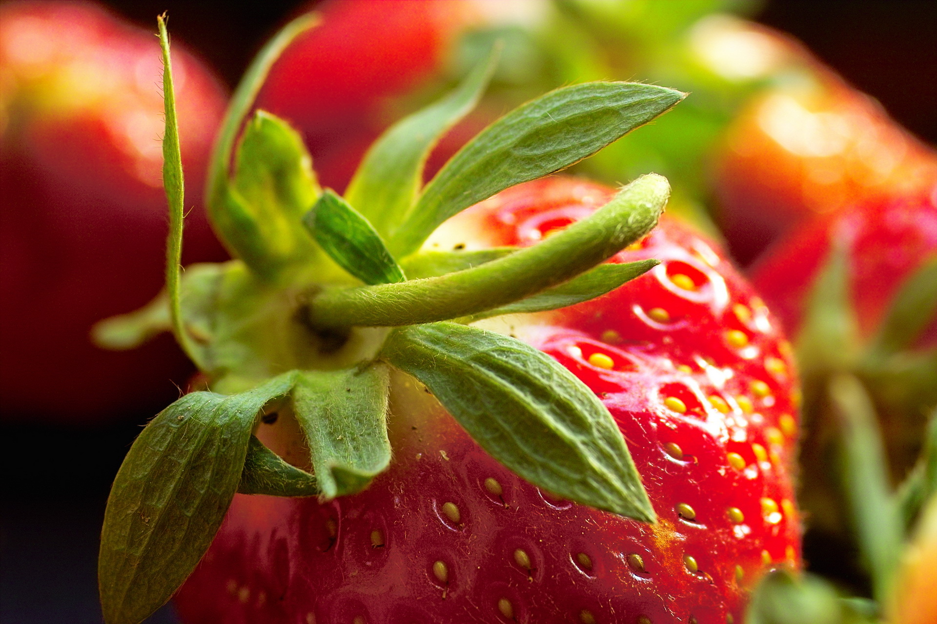 Обои макро, ягода, клубника, клубничка, macro, berry, strawberry разрешение 1920x1280 Загрузить