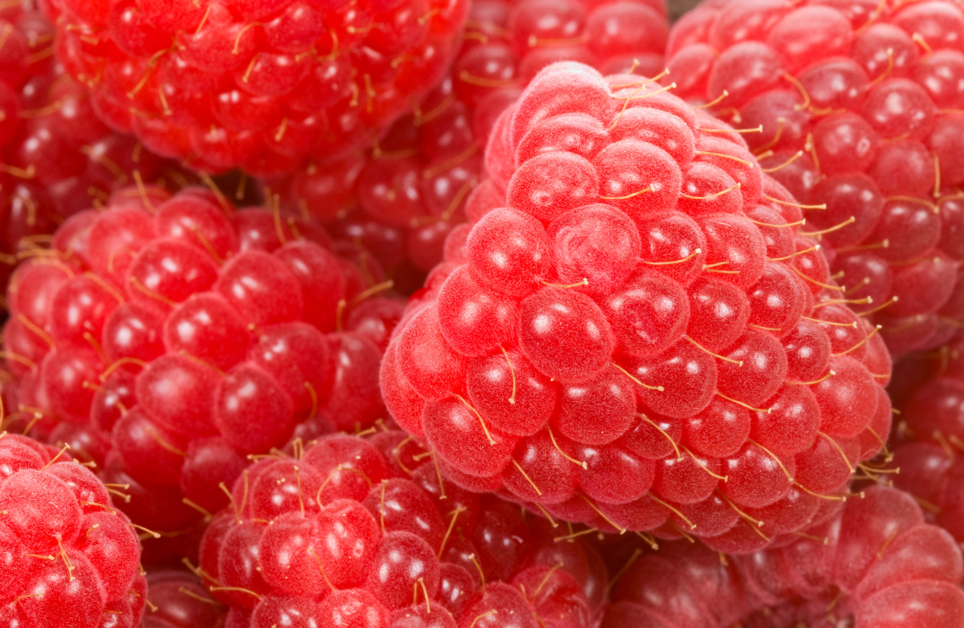 Обои макро, малина, ягода, спелая, красная малинка, macro, raspberry, berry, ripe, red raspberry разрешение 1920x1252 Загрузить