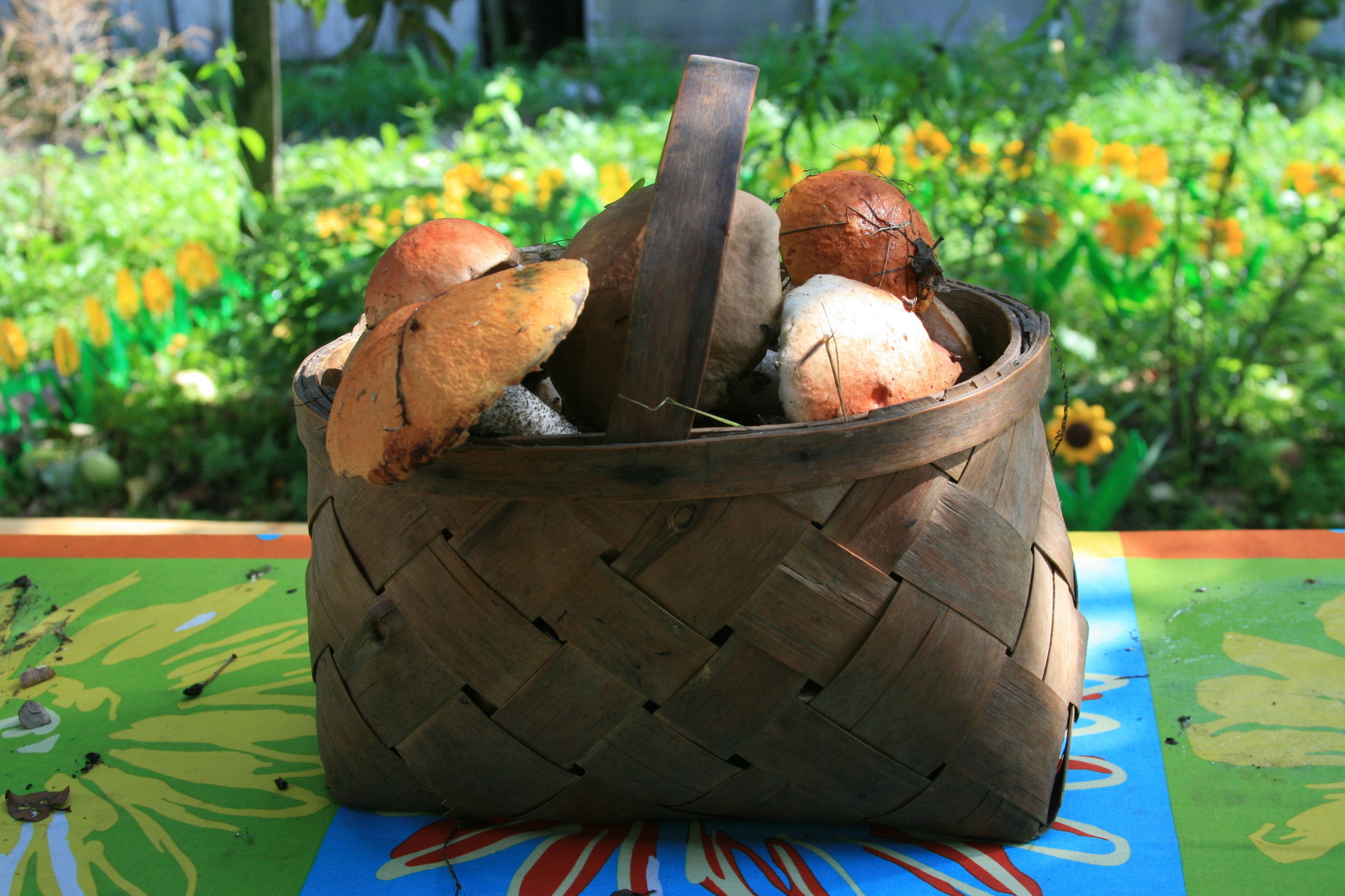 Обои природа, осень, грибы, корзина, грибы в лукошке, nature, autumn, mushrooms, basket, mushrooms in a basket разрешение 1920x1280 Загрузить