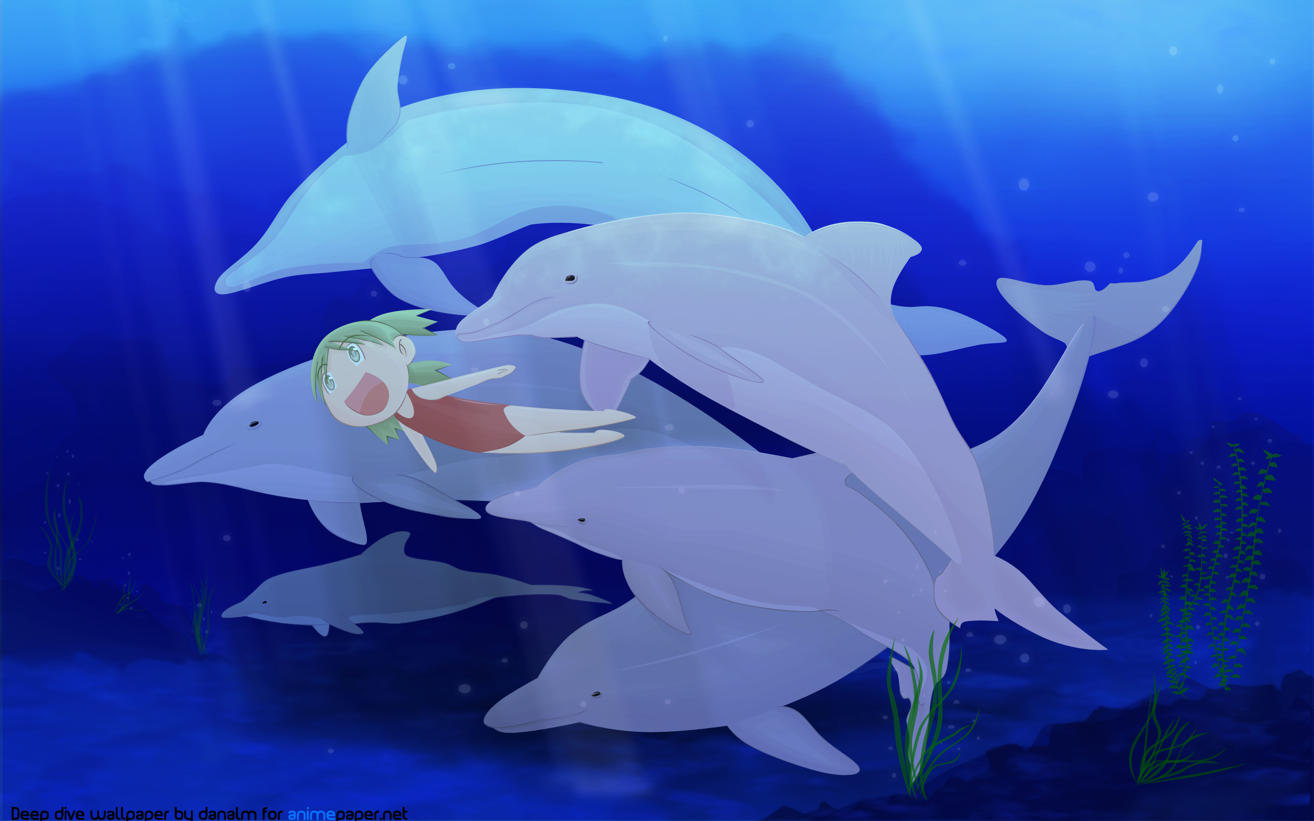 Обои животное, дельфин, koiwai yotsuba, yotsubato, подводная, animal, dolphin, yotsuba koiwai, underwater разрешение 2560x1600 Загрузить