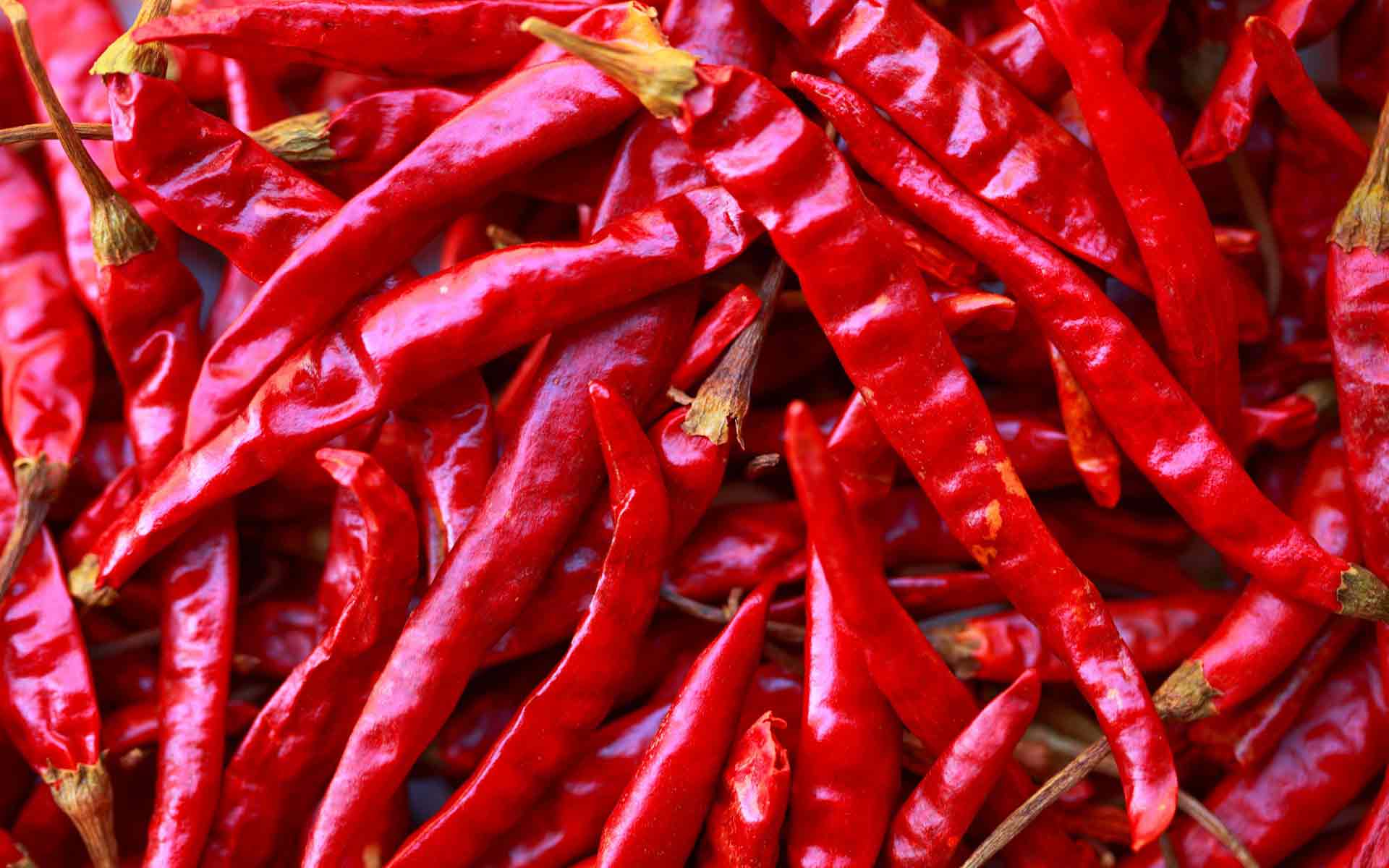 Обои красный, чили, перец, острый, горький, жгучий, red, chile, pepper, sharp, bitter, burning разрешение 1920x1200 Загрузить