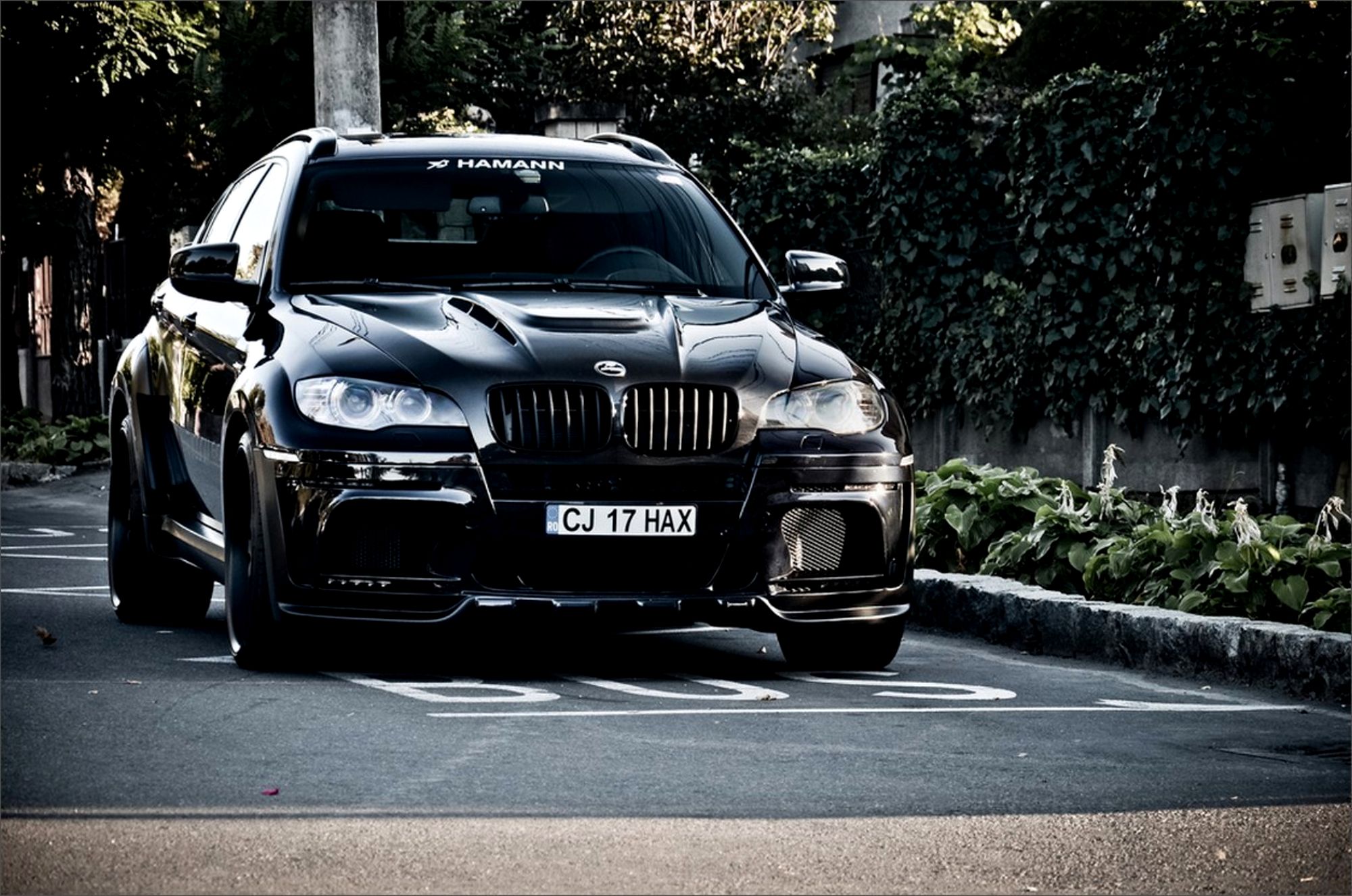 X6 7x. BMW x6 Hamann. БМВ х7 е70. Джип БМВ х7.