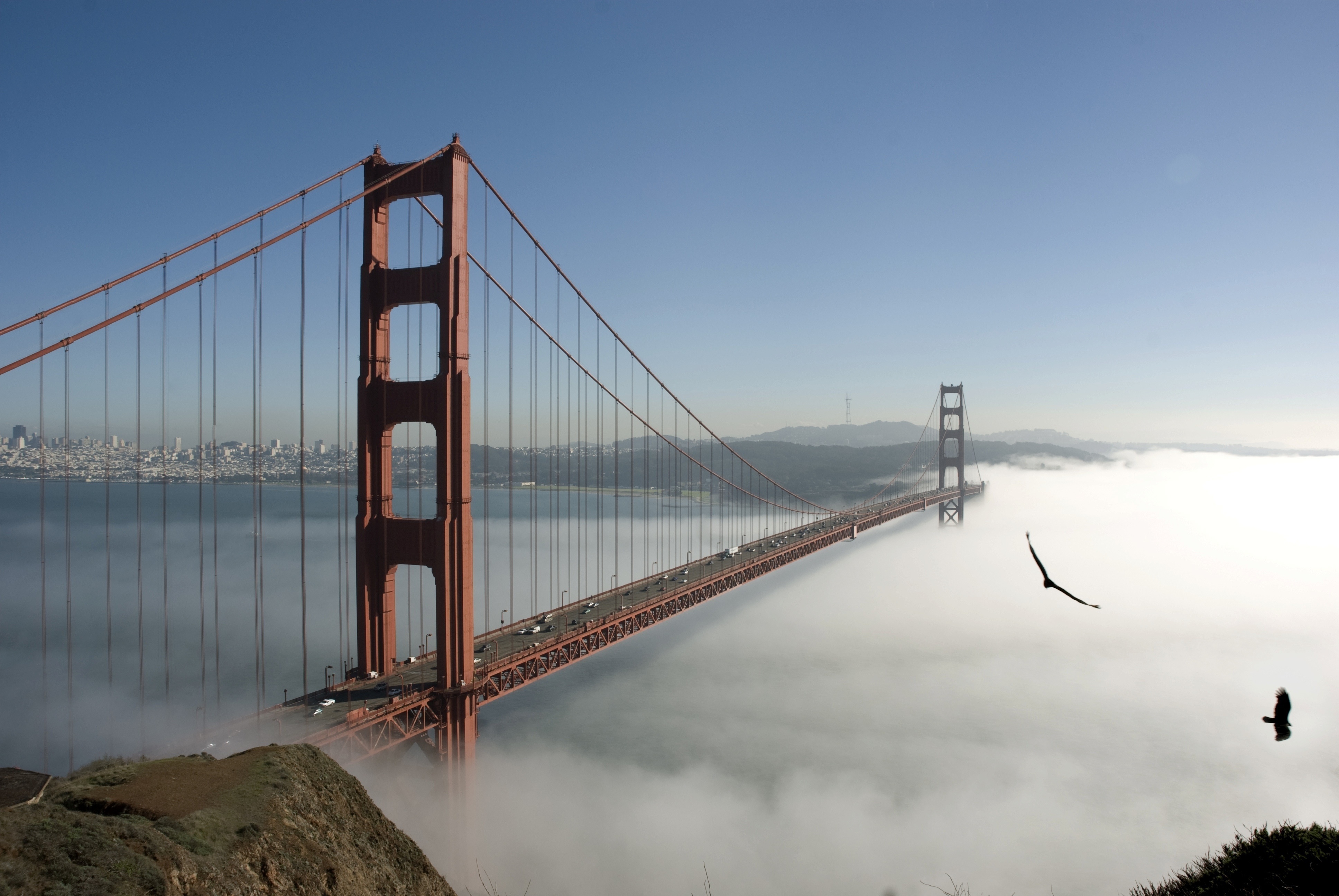 Мост, туман, Сан-Франциско загрузить
