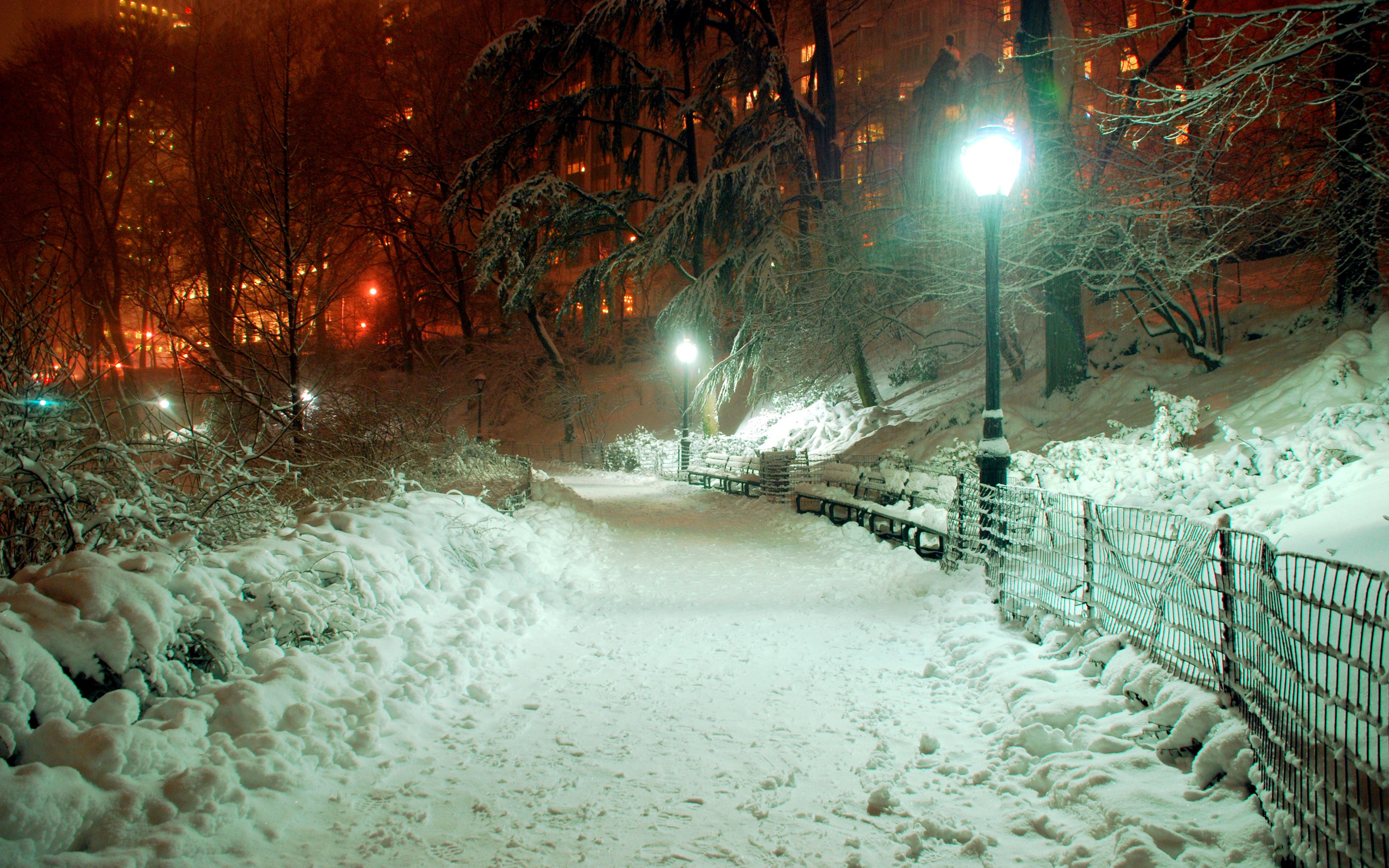Прогулка по зимнему парку бесплатно