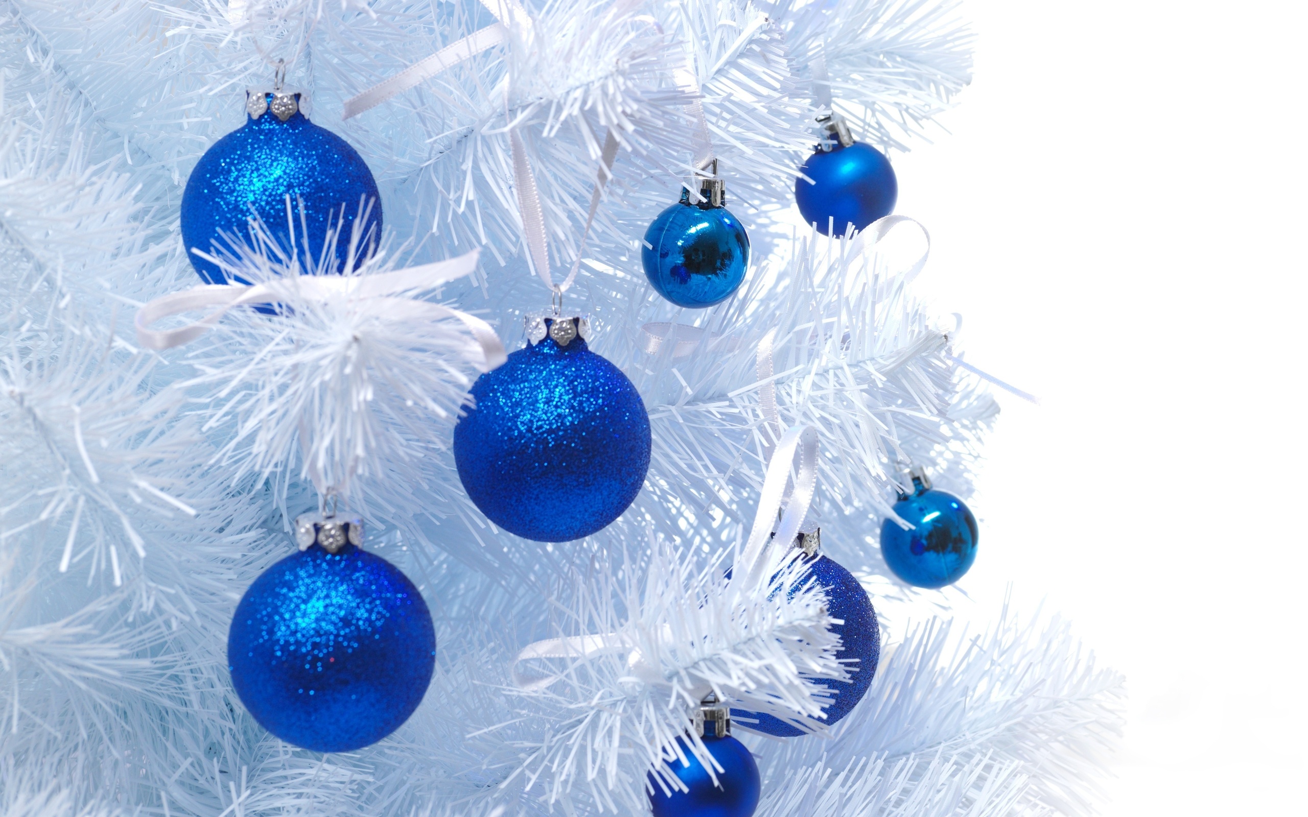 Обои новый год, синий шар, елка, елочные, шары, новогодние игрушки, белая елка, шарики, игрушки, новогодний шар, синие, рождество, елочные игрушки, белая, white, new year, blue ball, tree, christmas toys, balls, white tree, toys, christmas ball, blue, christmas, christmas decorations разрешение 2560x1600 Загрузить