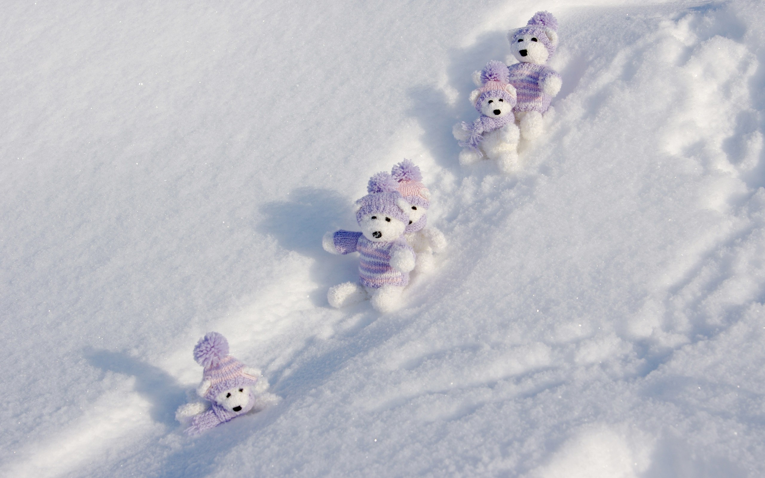 медвежата на таявшем снегу скачать