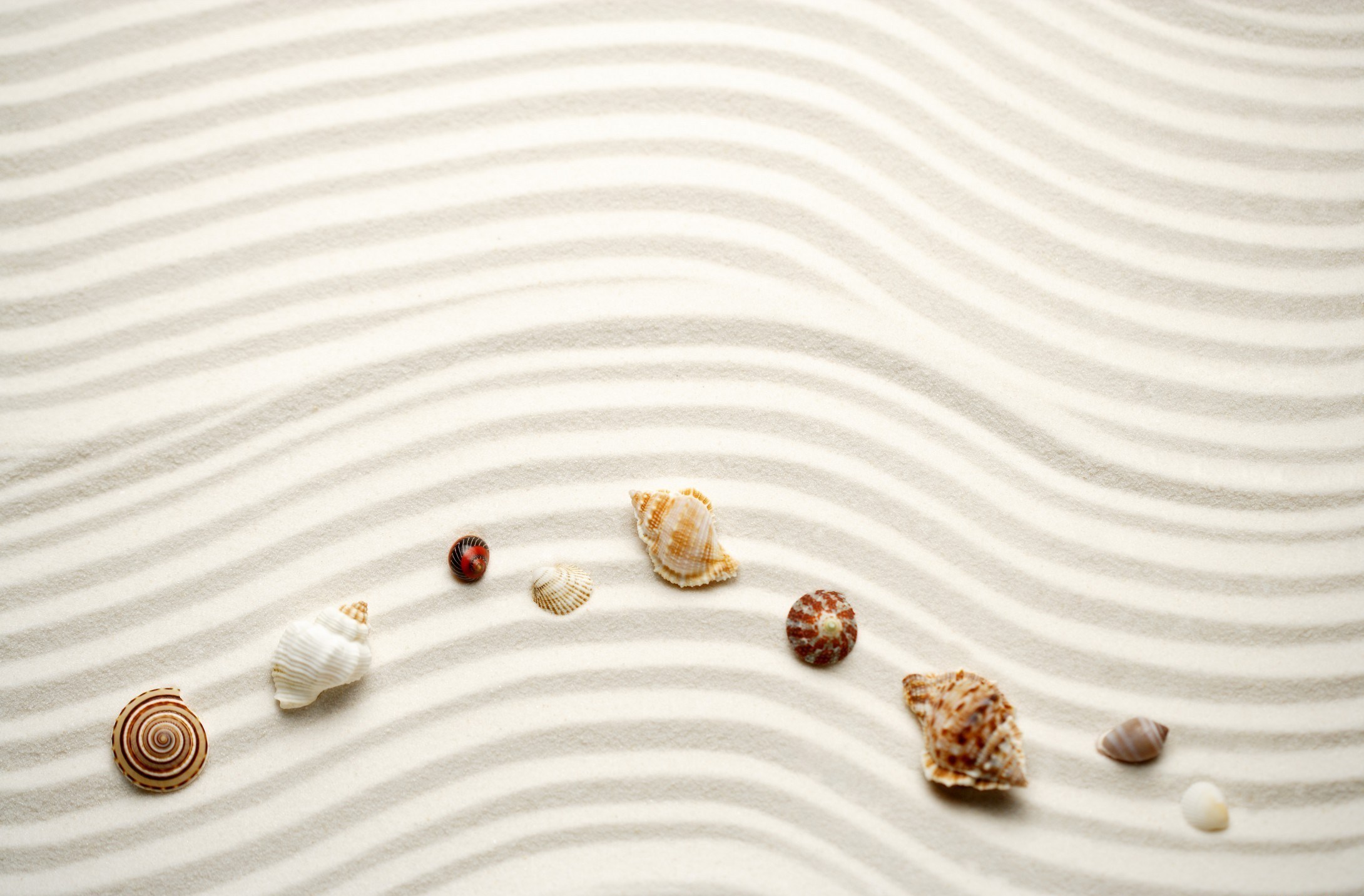 Камень сердце ракушка песок без смс