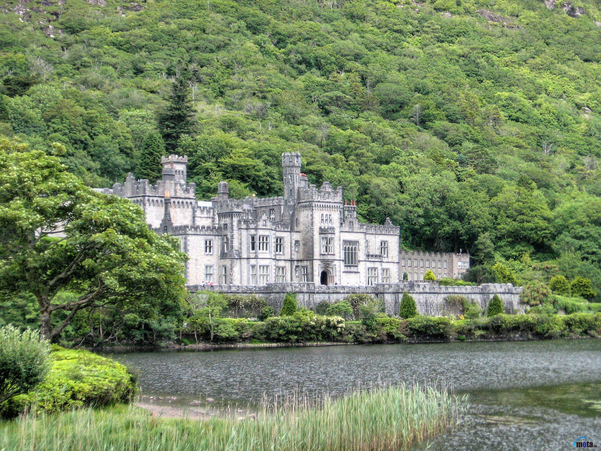 Болотный дворец. Аббатство Кайлмор Ирландия. Замок поместье крофедленд Шотландия. Замок Кайлмор Ирландия. Замок Ирландия, Голуэй.