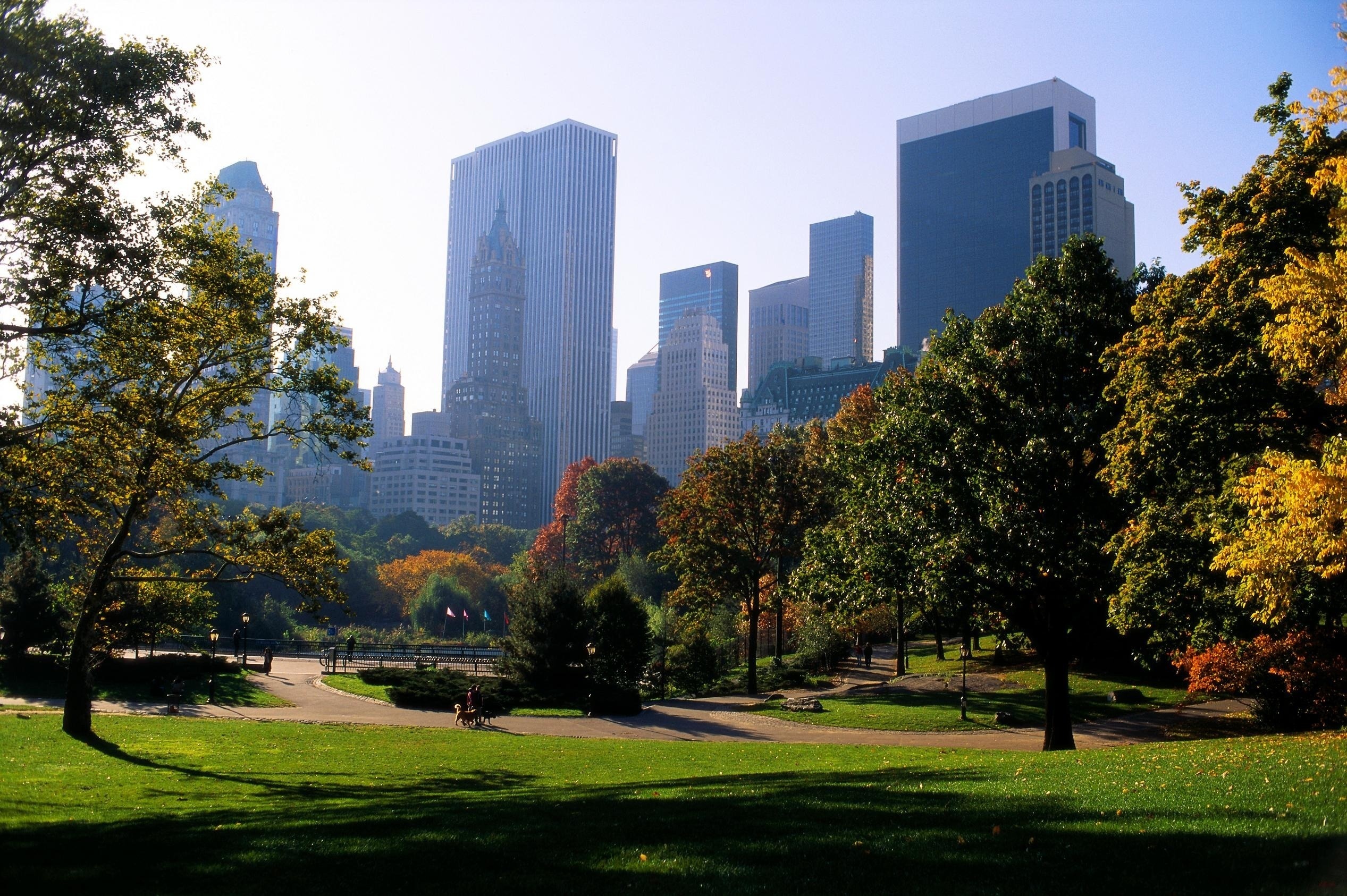 Парки в америке в городе. Централ парк Нью-Йорк деревья. Центральный парк, Нью-Йорк, США. Центральный парк (г. Нью-Йорк, Манхэттен). Центральный парк ньйорк.