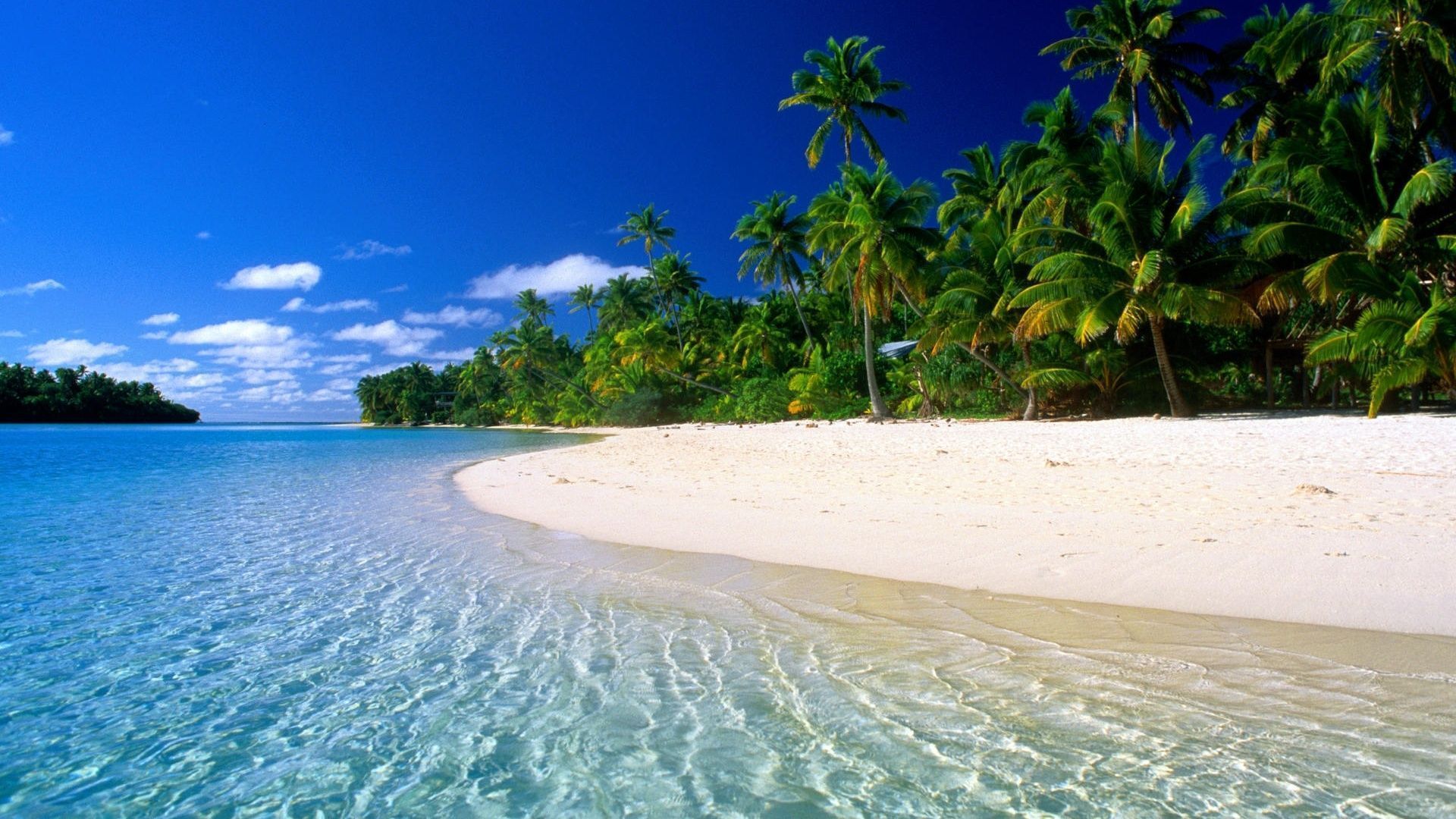 Обои небо, песок, пляж, пальмы, океан, тропики, the sky, sand, beach, palm ...