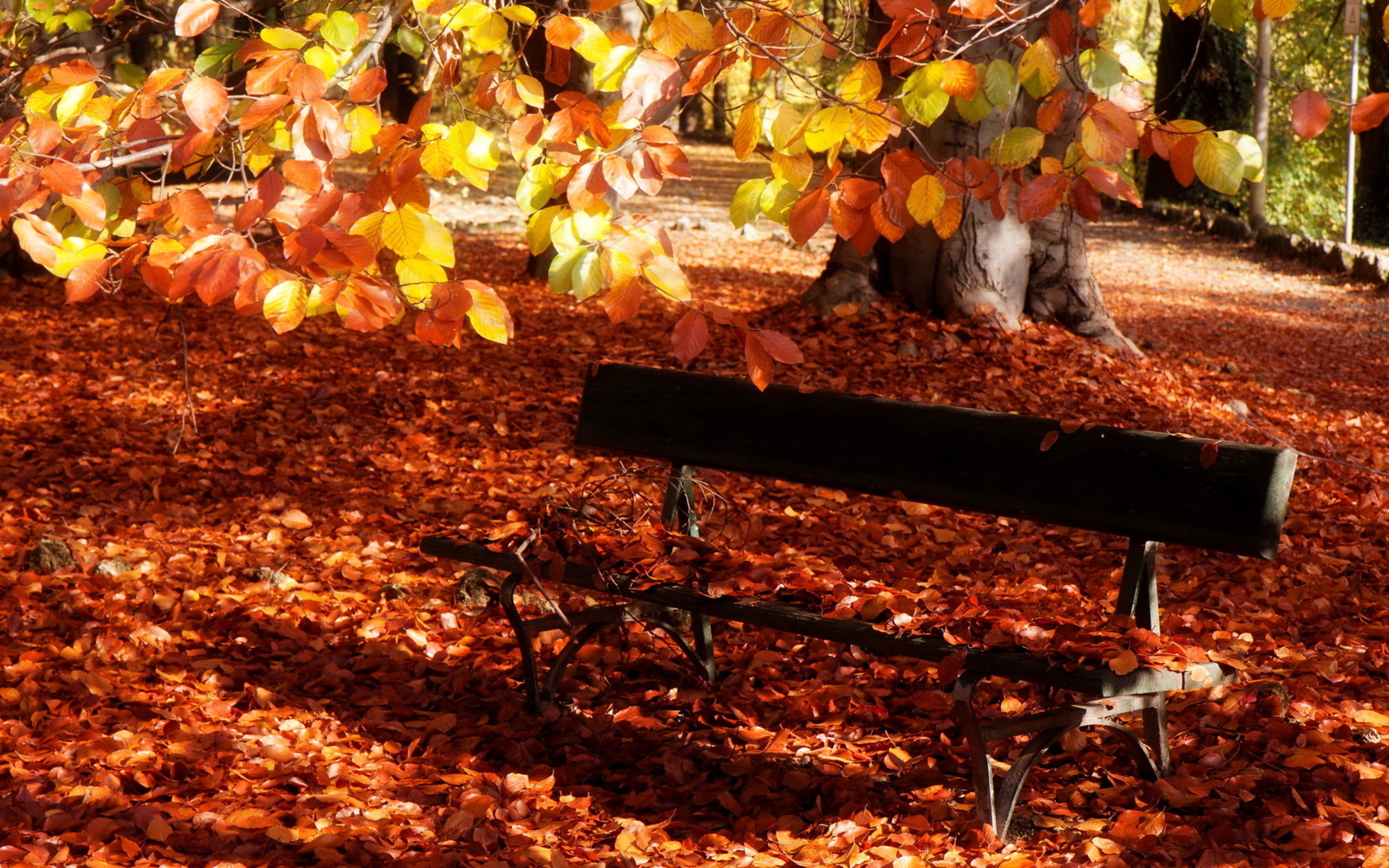 осень листья лавочка парк загрузить