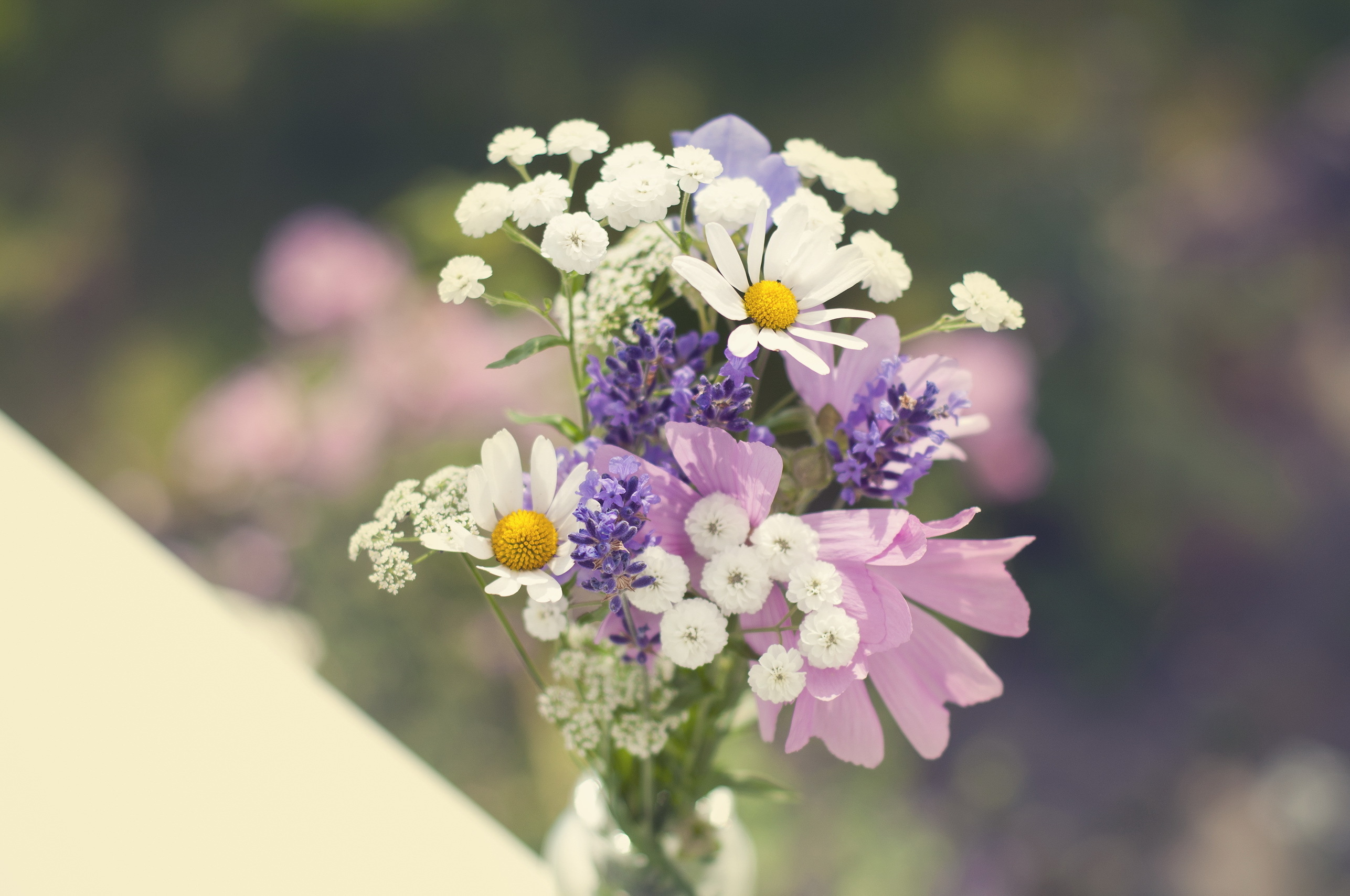 девушка поляна цветы лето букет скачать