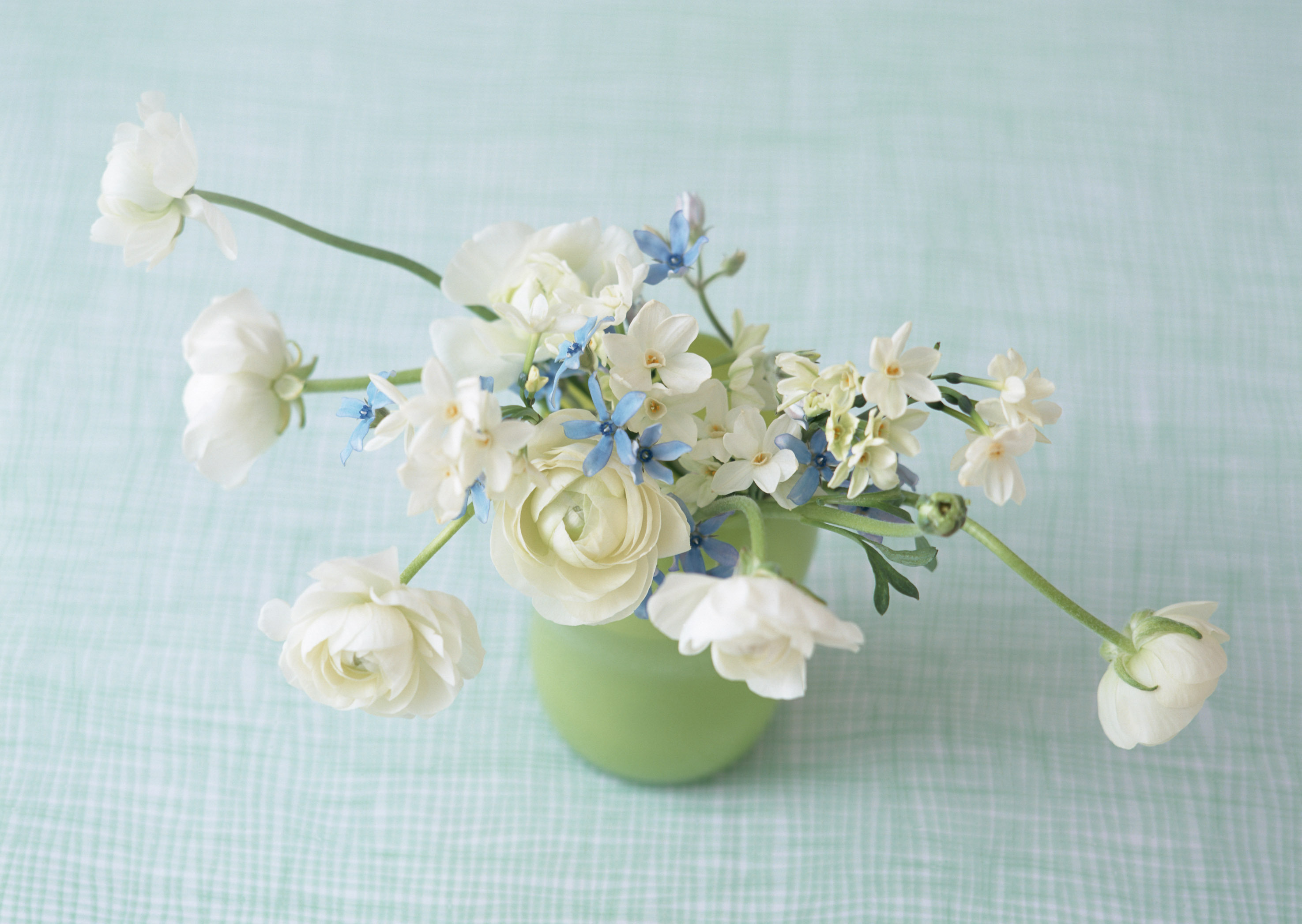 Обои cvety, cvety v vaze, nezhnaya kompoziciya разрешение 2950x2094 Загрузить