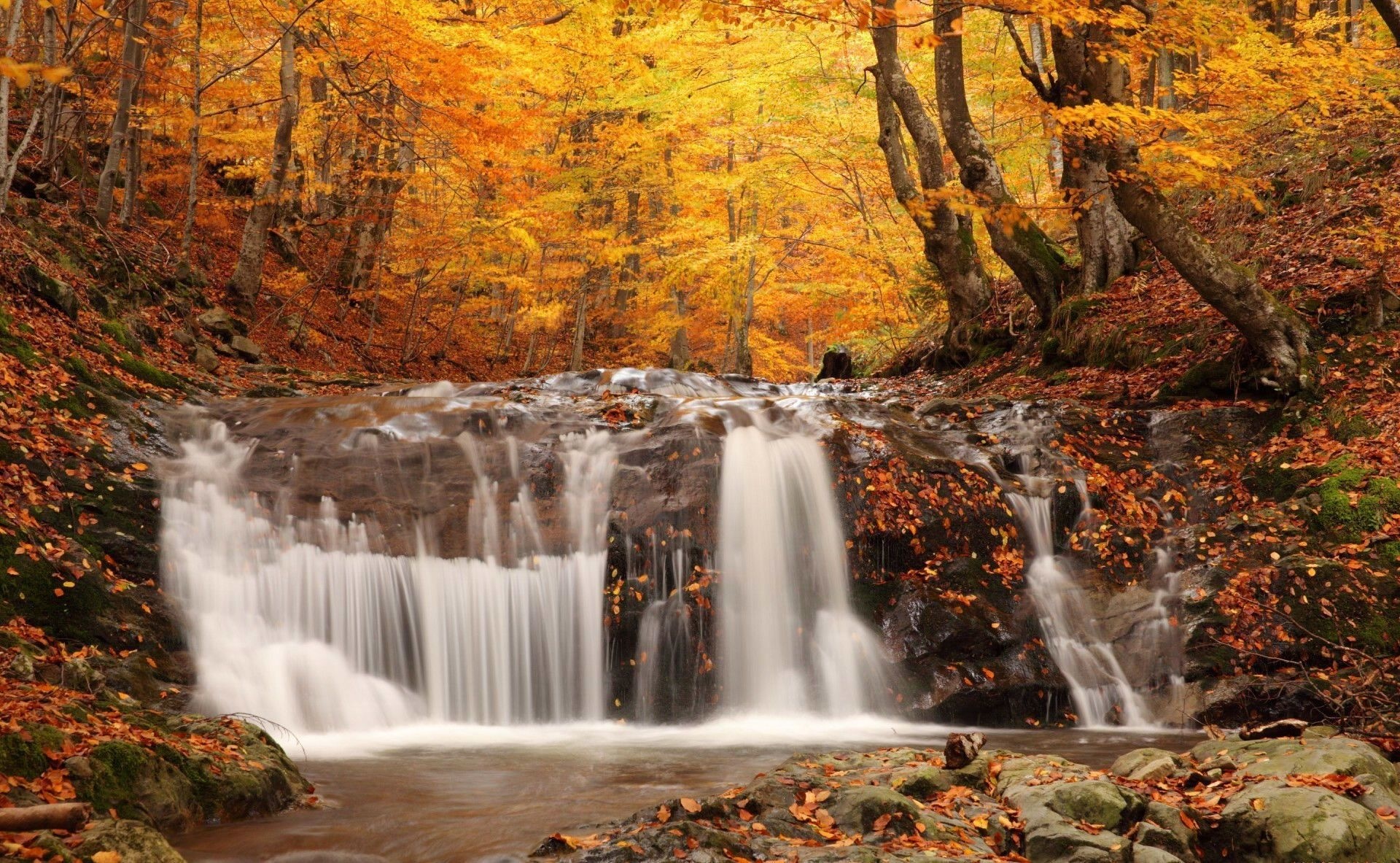 природа водопад осень листья деревья бесплатно