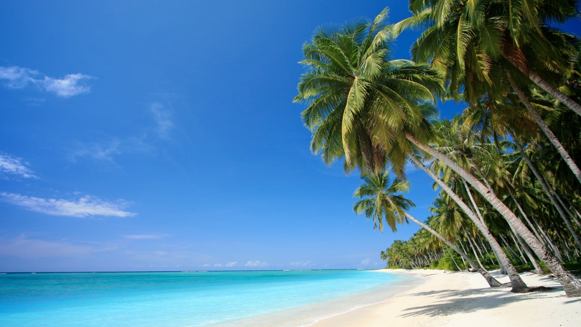 Обои песок, пляж, пальмы, тропики, мальдивы, sand, beach, palm trees, tropics, the maldives разрешение 1920x1080 Загрузить