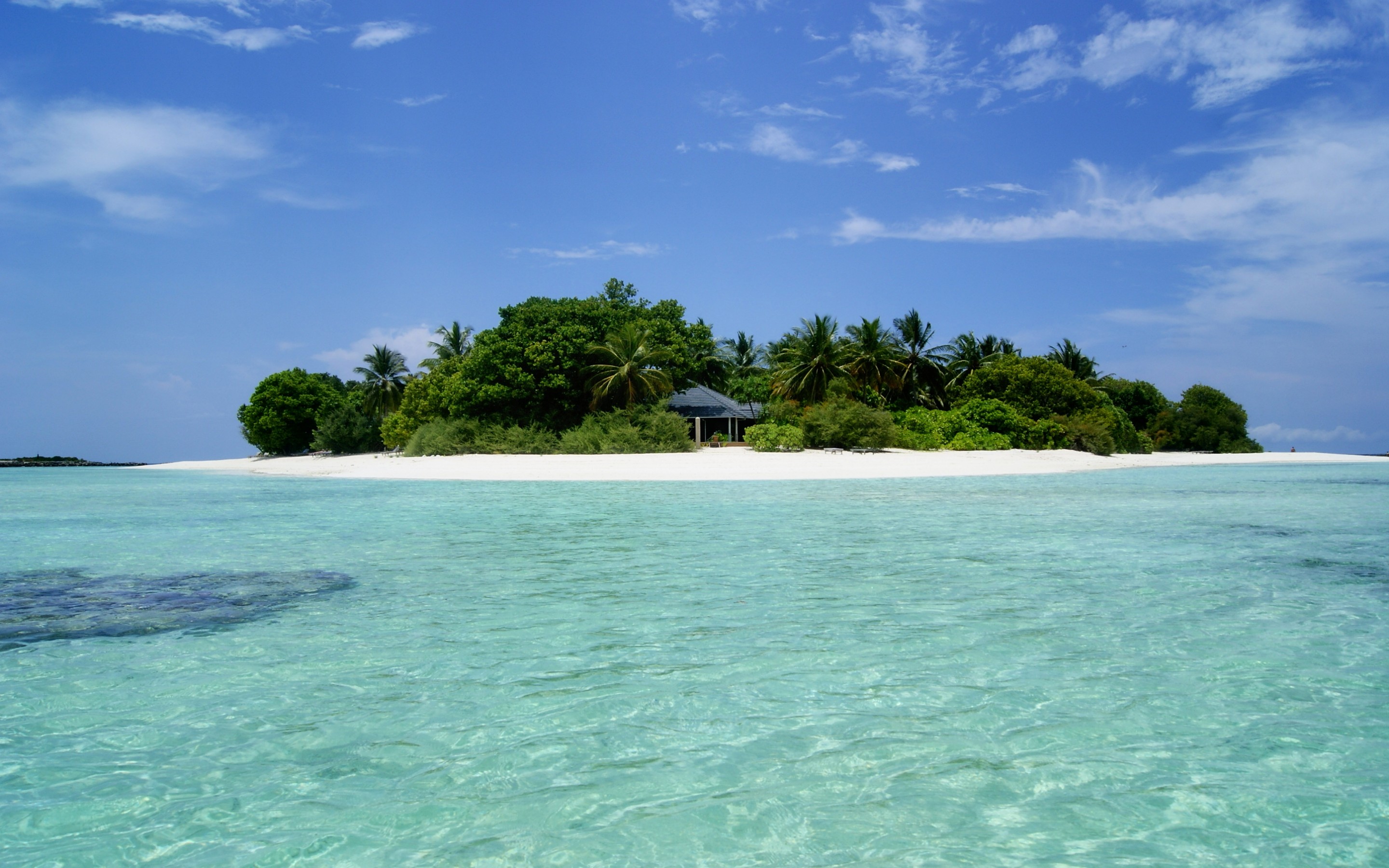Про море остров. Мальдивы тропики. Острова и море. Остров пляж. Тропический пляж.