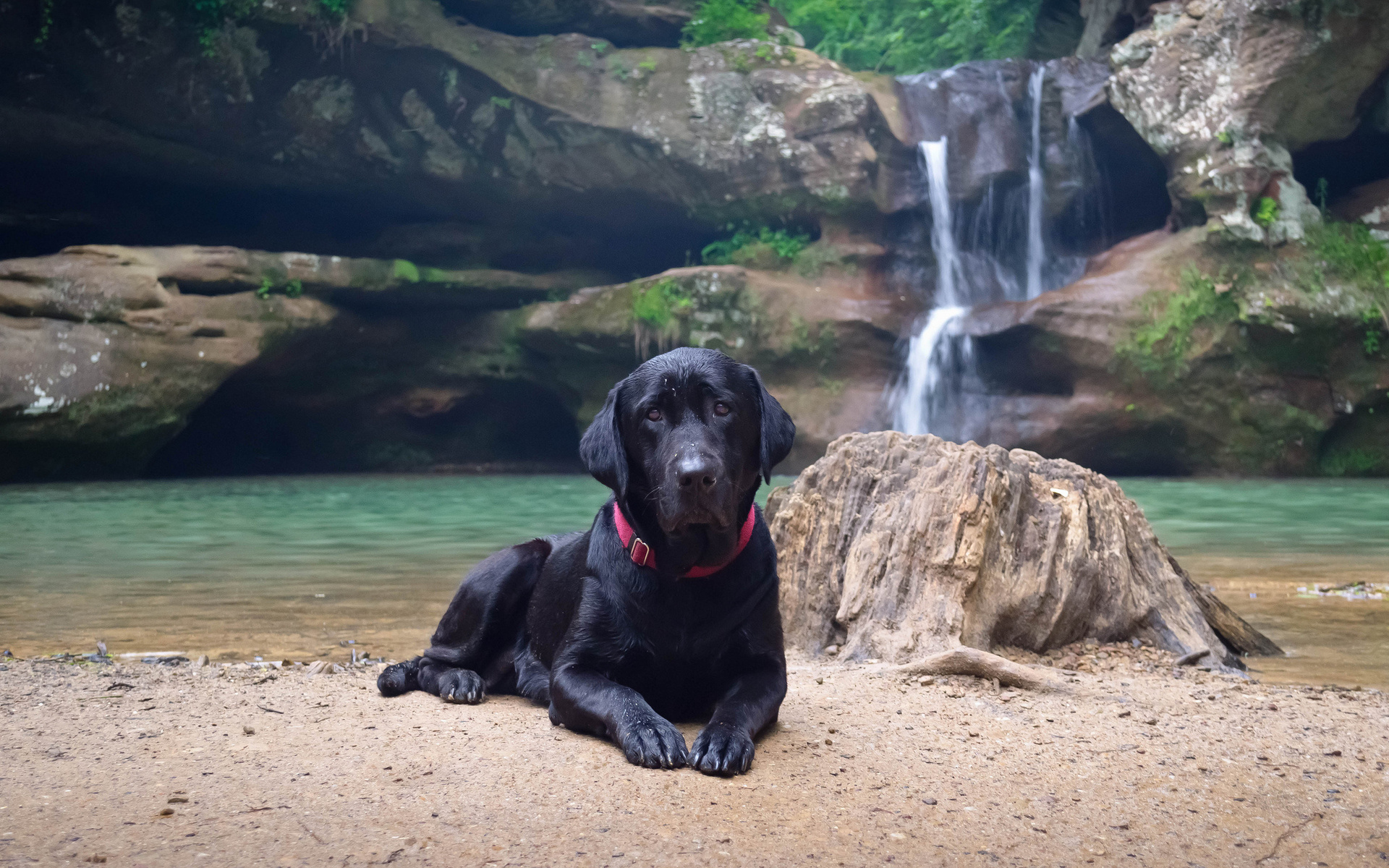 Обои вода, природа, берег, водопад, черный, собака, лабрадор, water, nature, shore, waterfall, black, dog, labrador разрешение 1920x1200 Загрузить