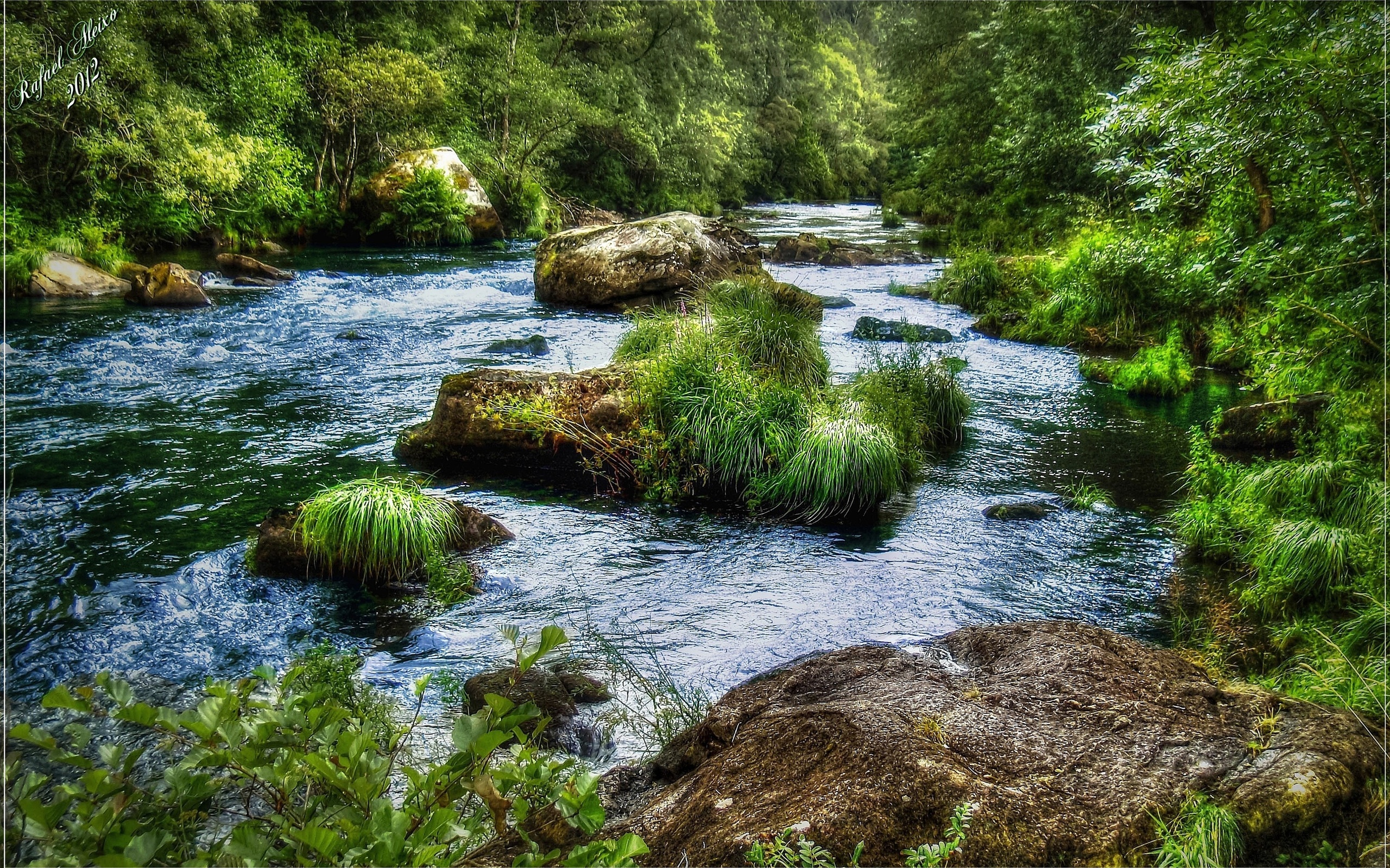 Обои трава, река, камни, лес, пейзаж, поток, grass, river, stones, forest, landscape, stream разрешение 2560x1600 Загрузить