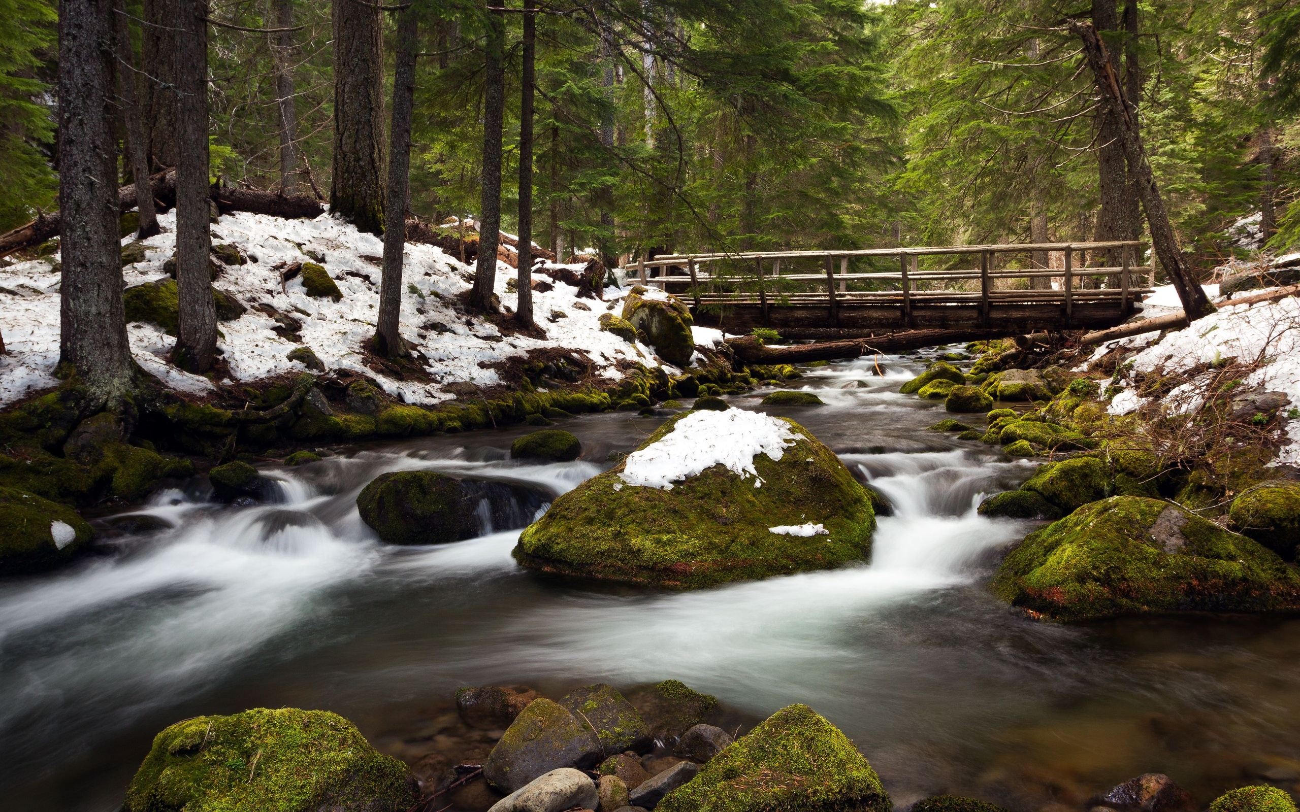 Обои деревья, река, снег, камни, зима, мост, сша, орегон, trees, river, snow, stones, winter, bridge, usa, oregon разрешение 2560x1600 Загрузить