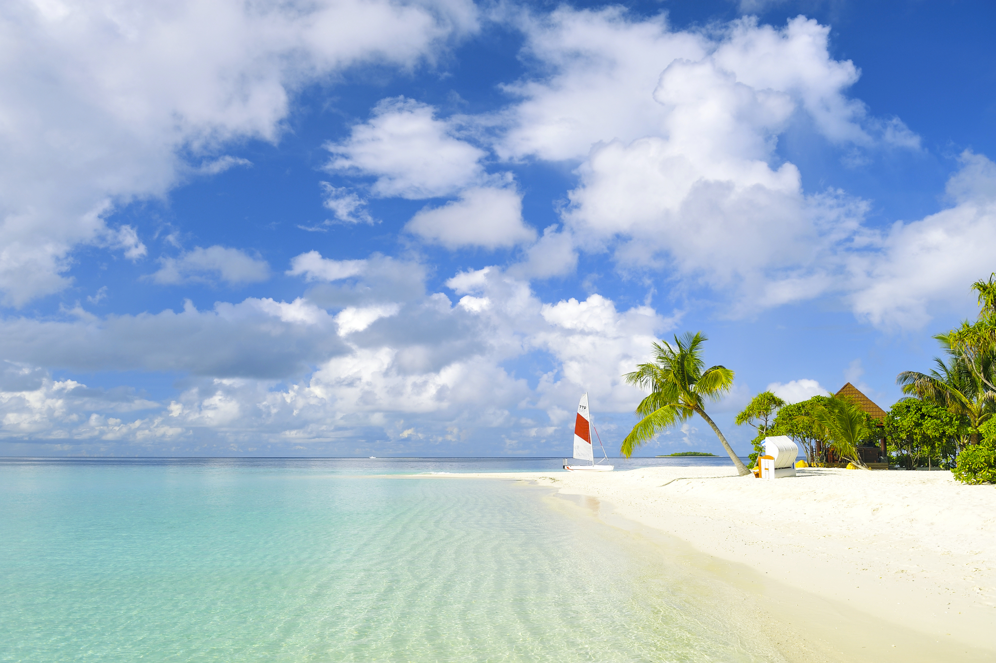 Обои пляж, пальмы, тропики, beach, palm trees, tropics разрешение 2000x1331 Загрузить