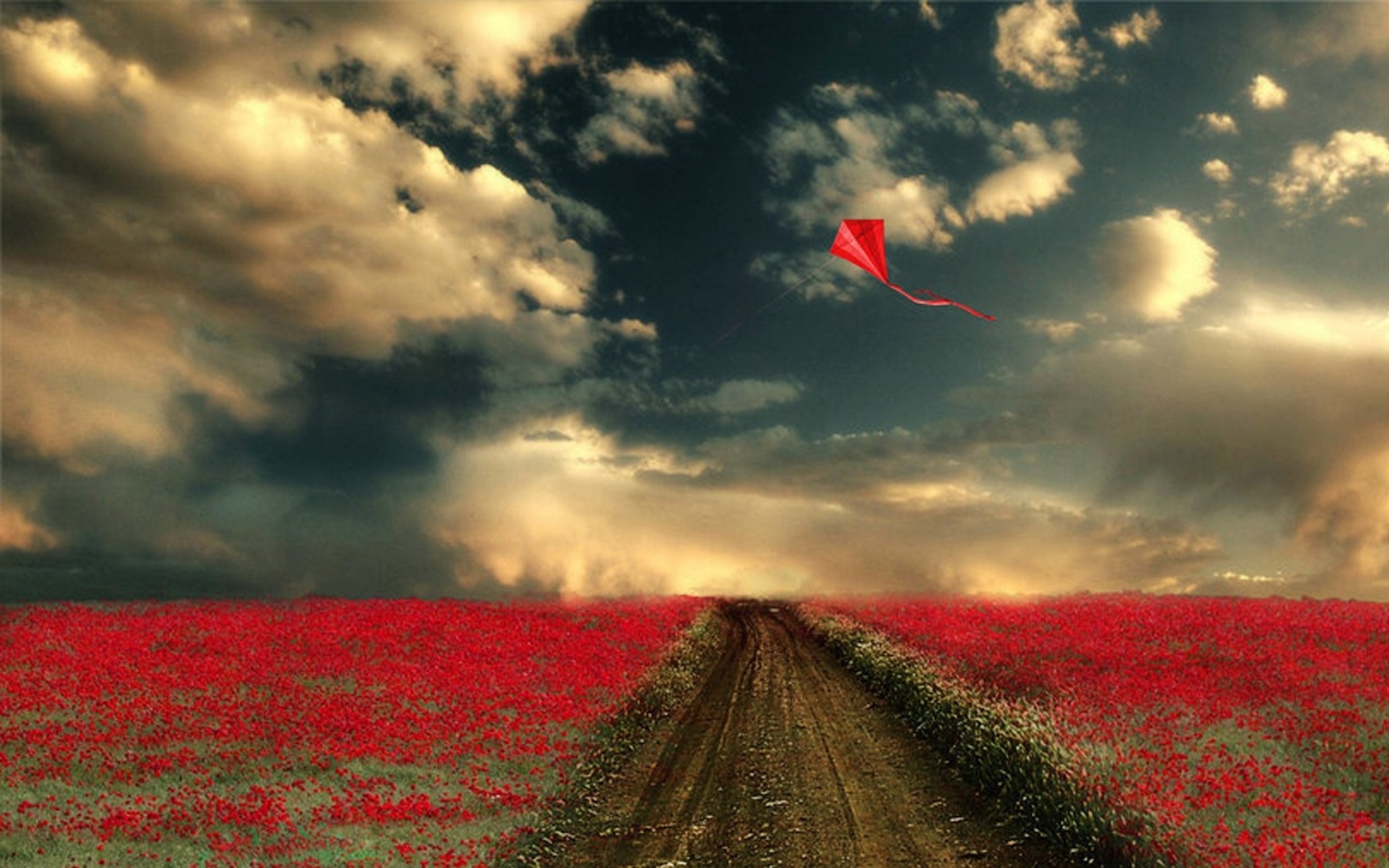 любовь жизнь природа облака поле цветы дорога влюбленные бесплатно