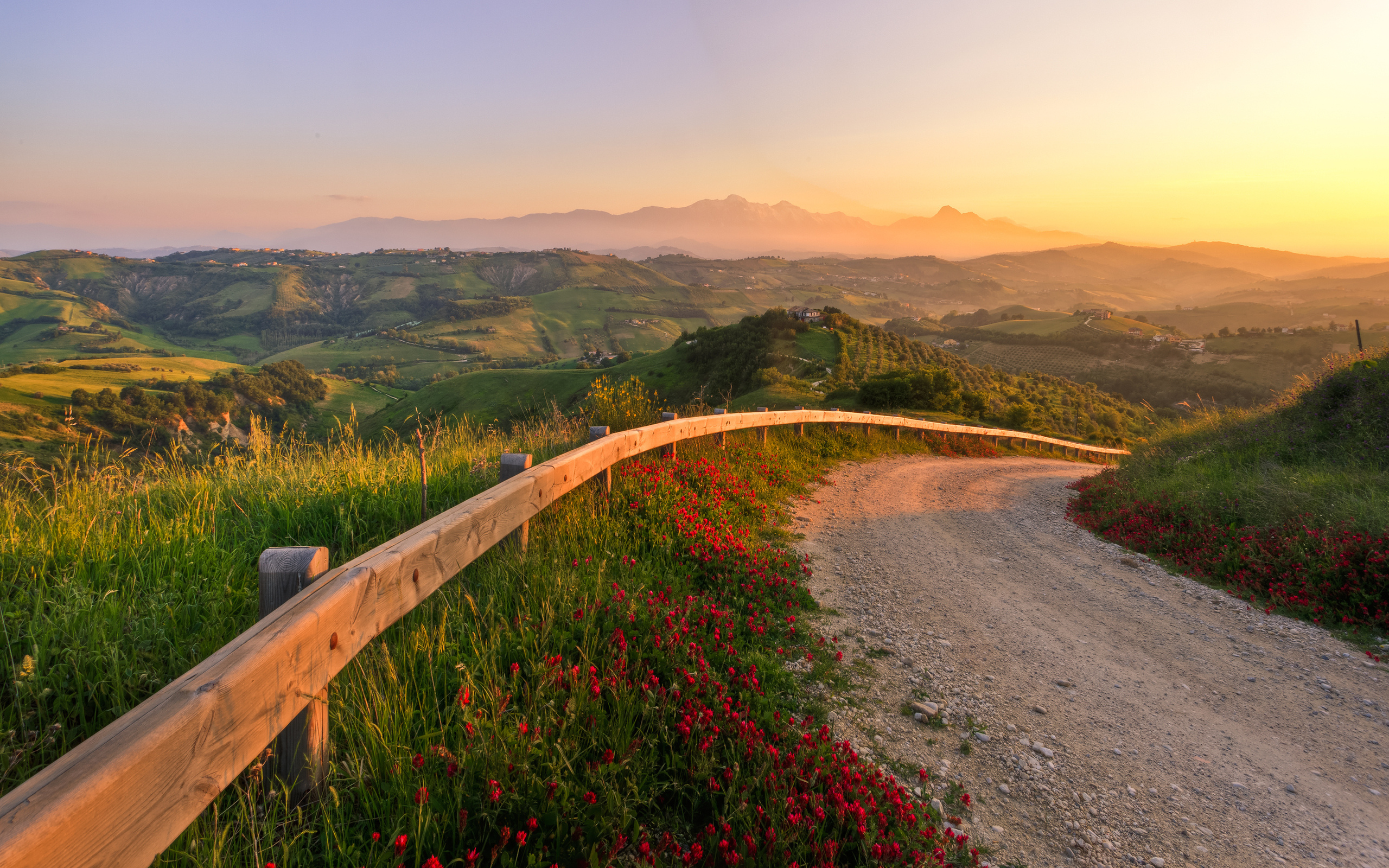 Обои дорога, цветы, трава, холмы, природа, закат, италия, road, flowers, grass, hills, nature, sunset, italy разрешение 2560x1600 Загрузить