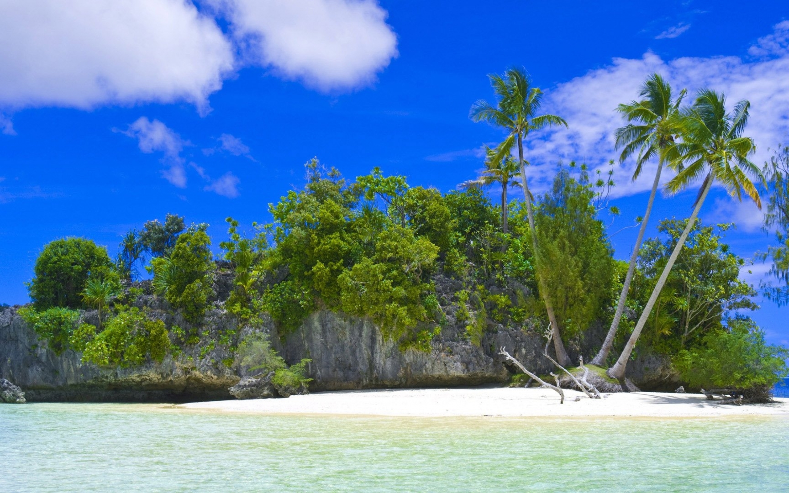 Limestone Island, Palau бесплатно