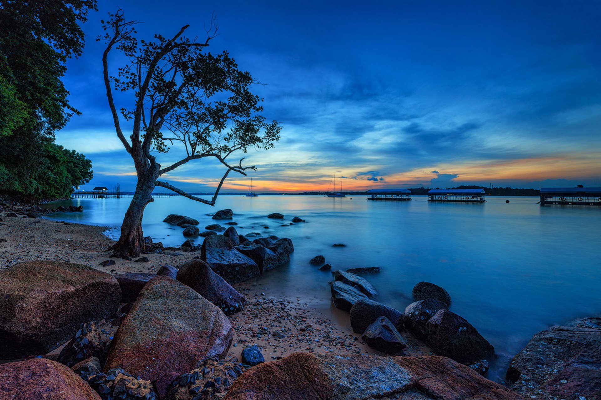закат берег море камни дерево бесплатно