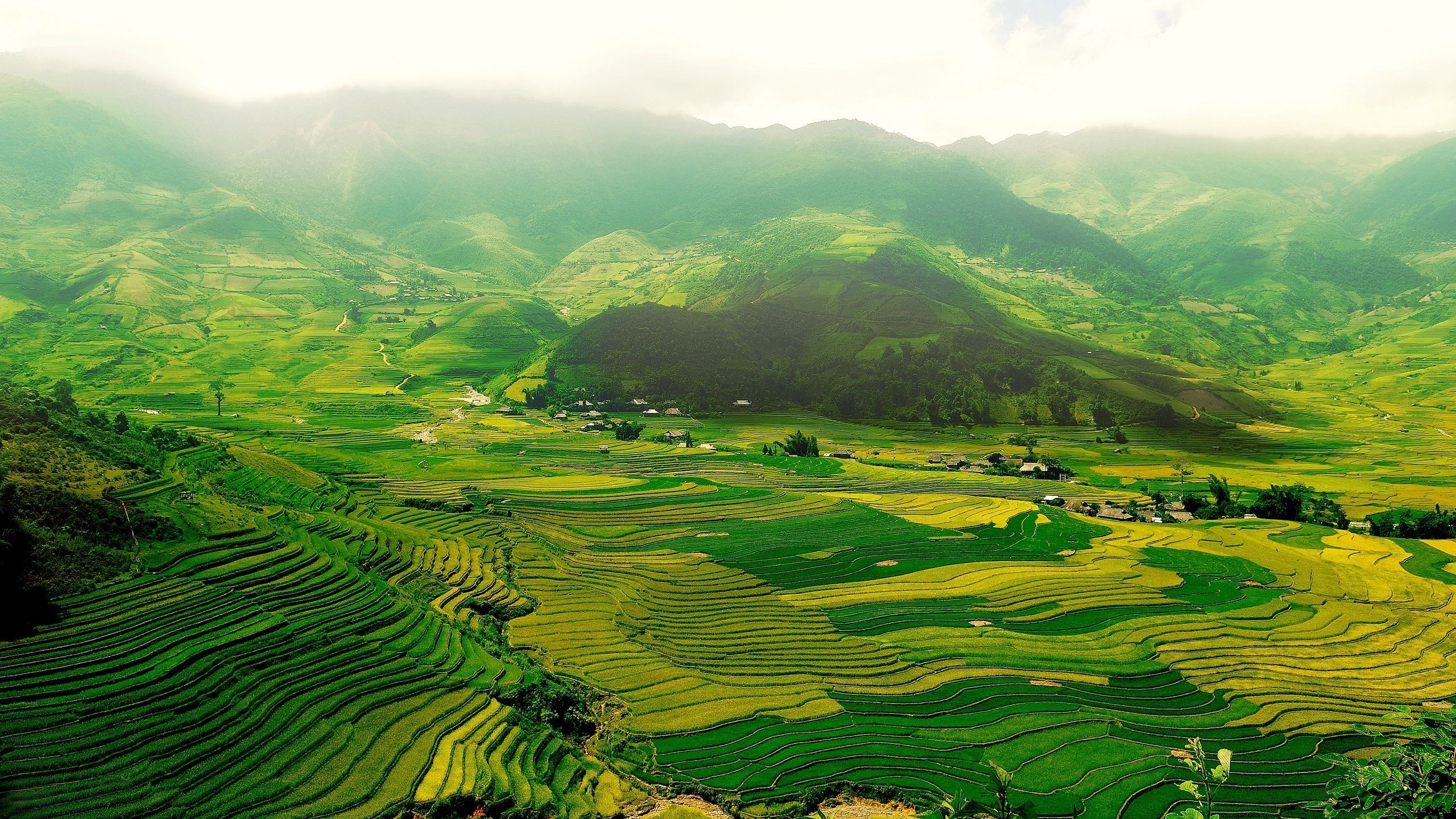 Agricultural Fields and Village, Tibet загрузить