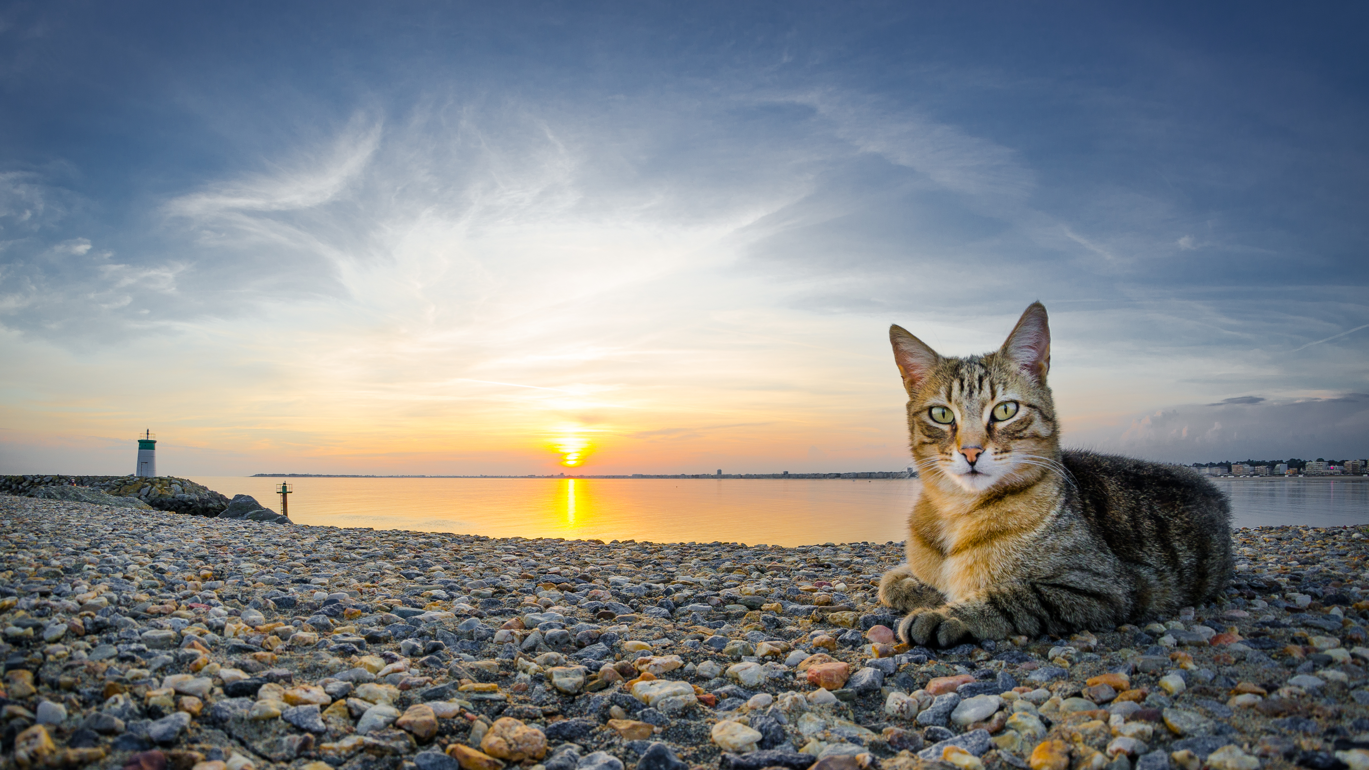 Обои камни, закат, пляж, кот, кошка, stones, sunset, beach, cat разрешение 4420x2486 Загрузить