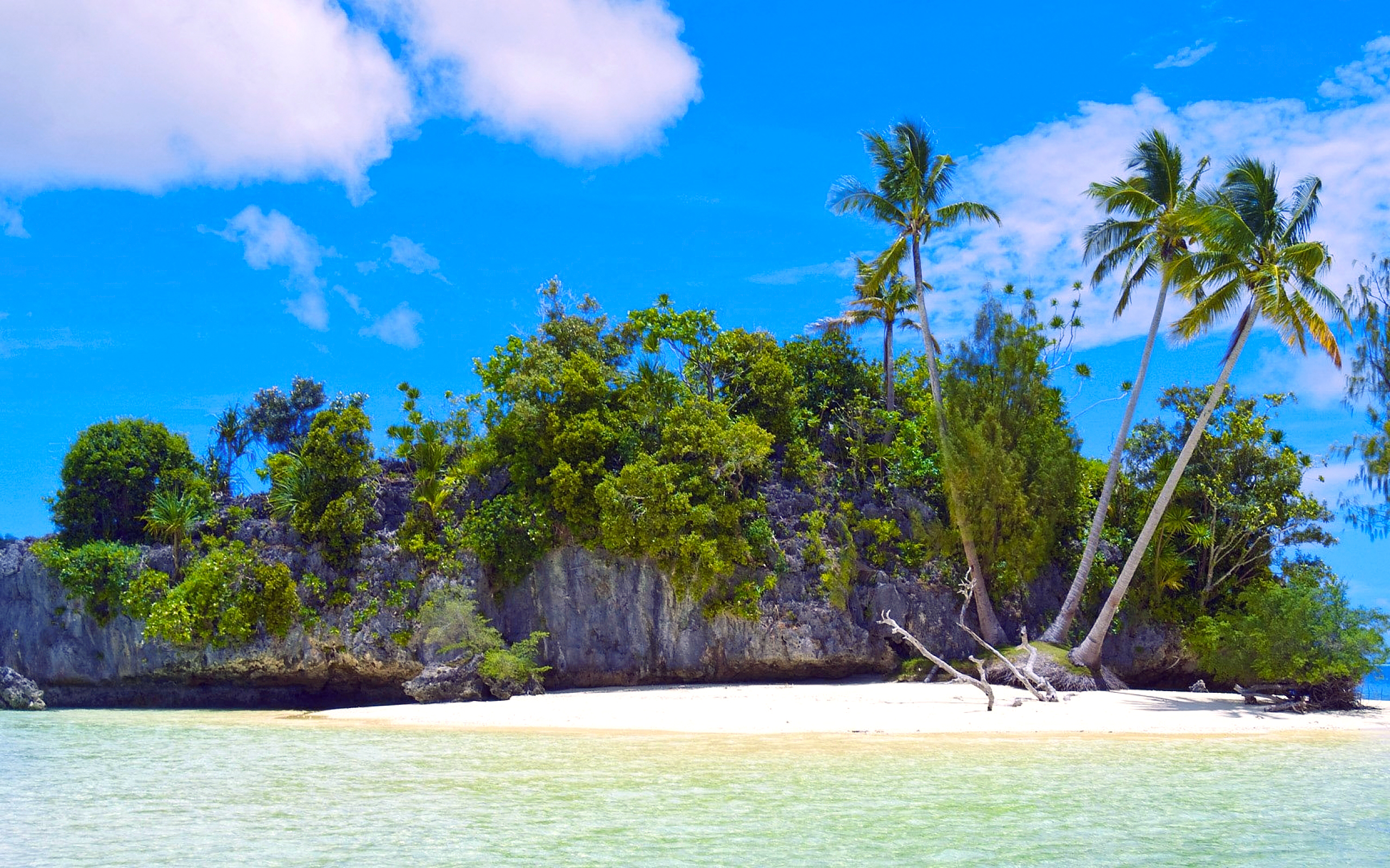 Limestone Island, Palau бесплатно