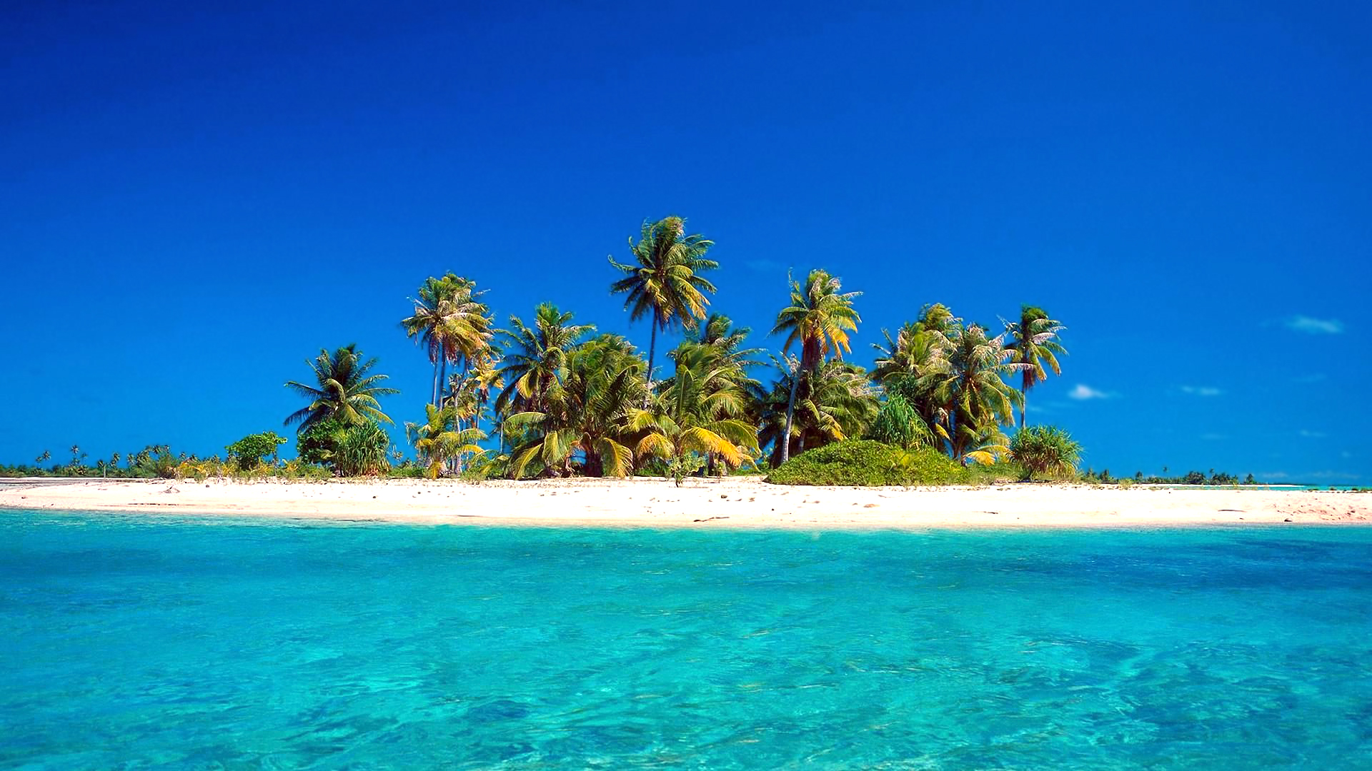 Про море остров. Карибское море Бора Бора. Карибское море голубая Лагуна. Мальдивы Бора Бора. Голубая Лагуна Доминикана.