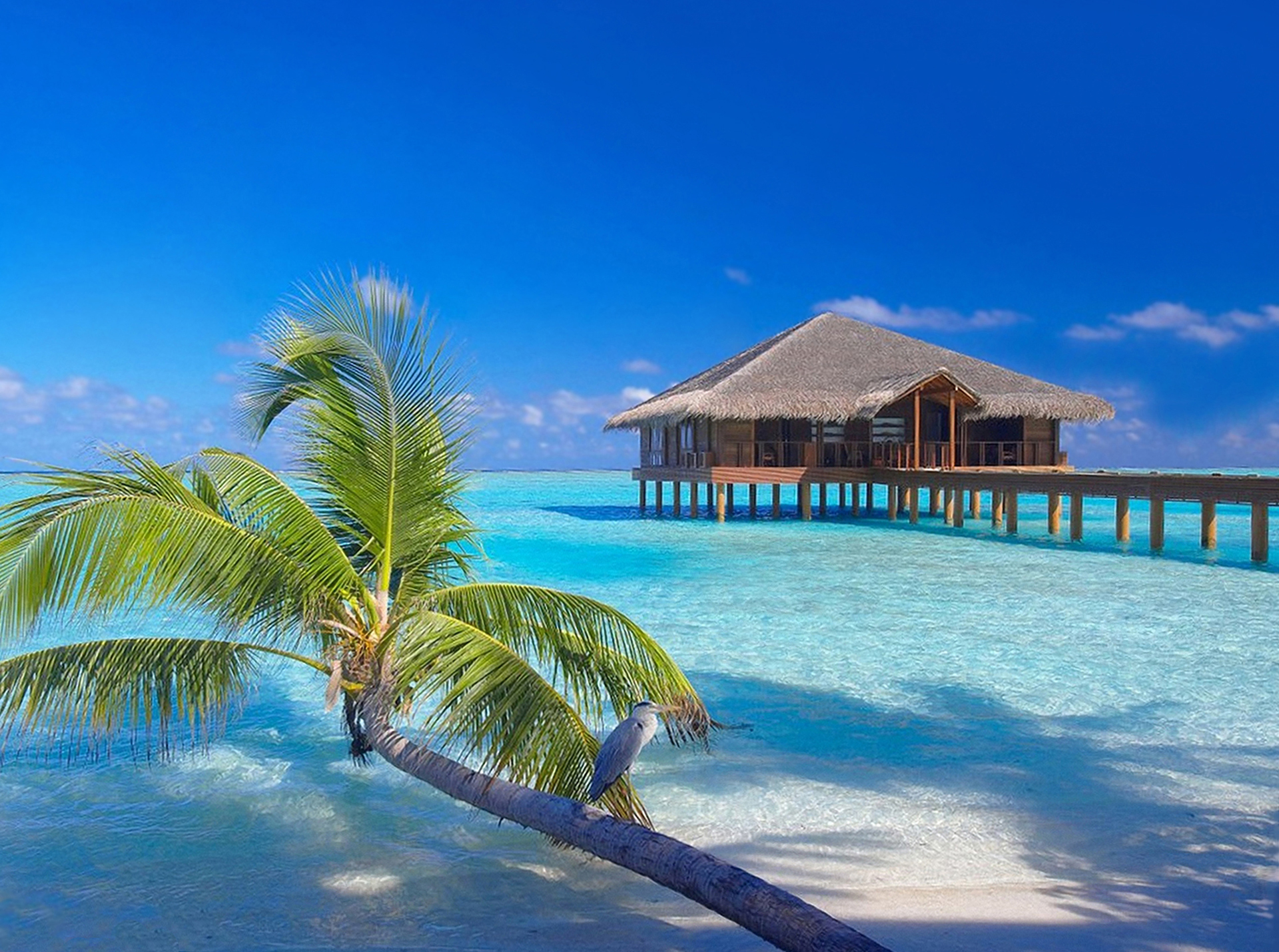 Мальдивы отдых море без смс