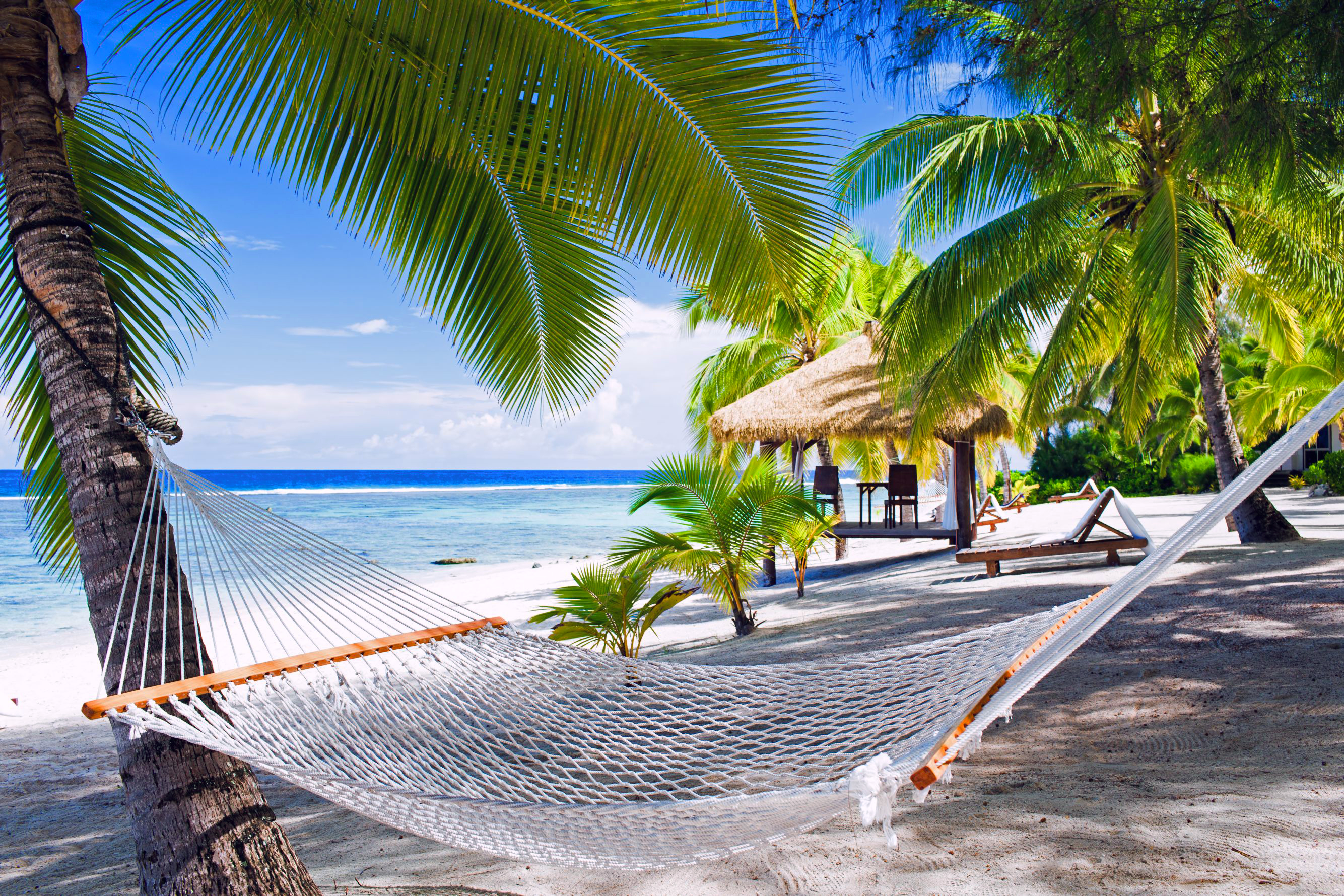 Обои пляж, гамак, тропики, мальдивы, beach, hammock, tropics, the maldives разрешение 2668x1779 Загрузить