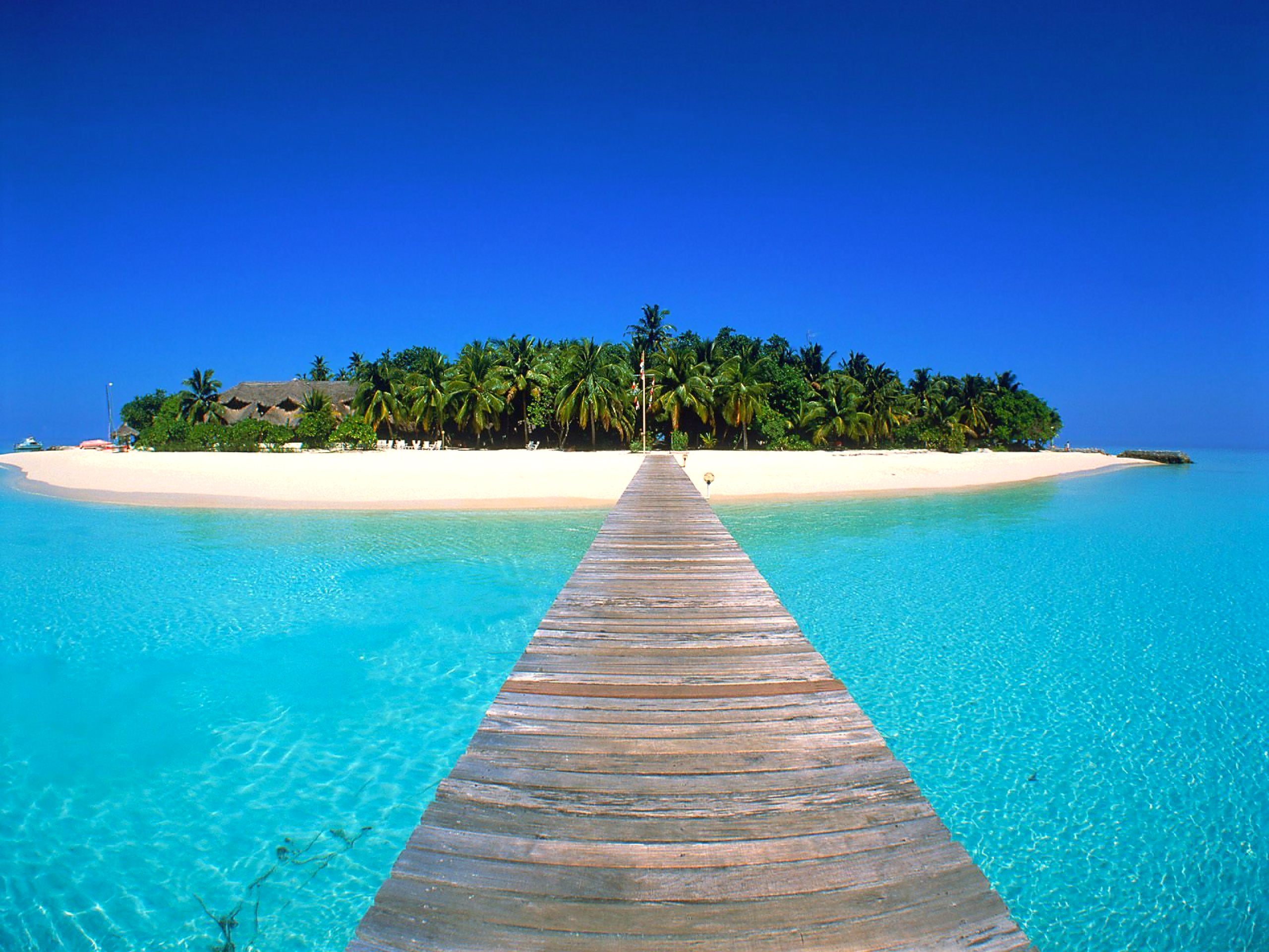 Обои остров, тропики, мальдивы, island, tropics, the maldives разрешение 2560x1920 Загрузить