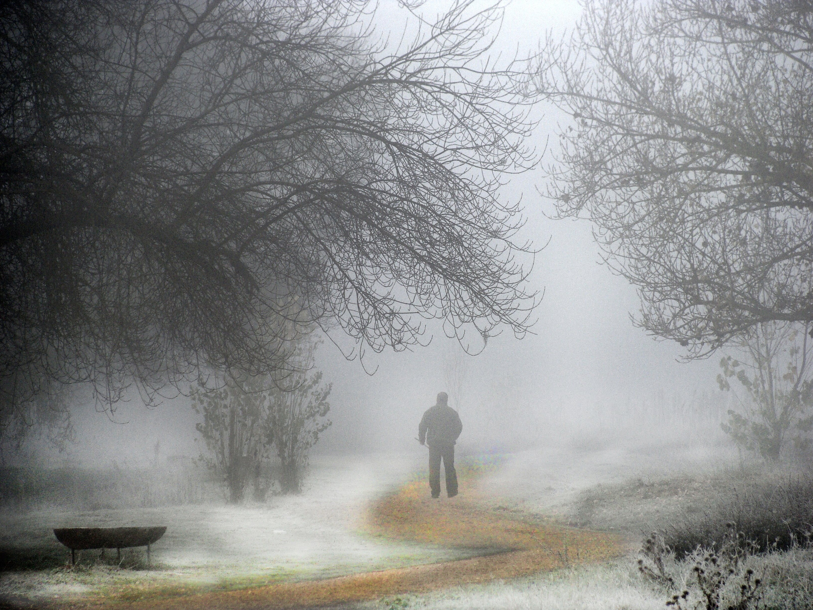 Уходящего 2012 года. Человек уходящий в туман. Человек в тумане. Одинокий человек в тумане. Туман одиночество.