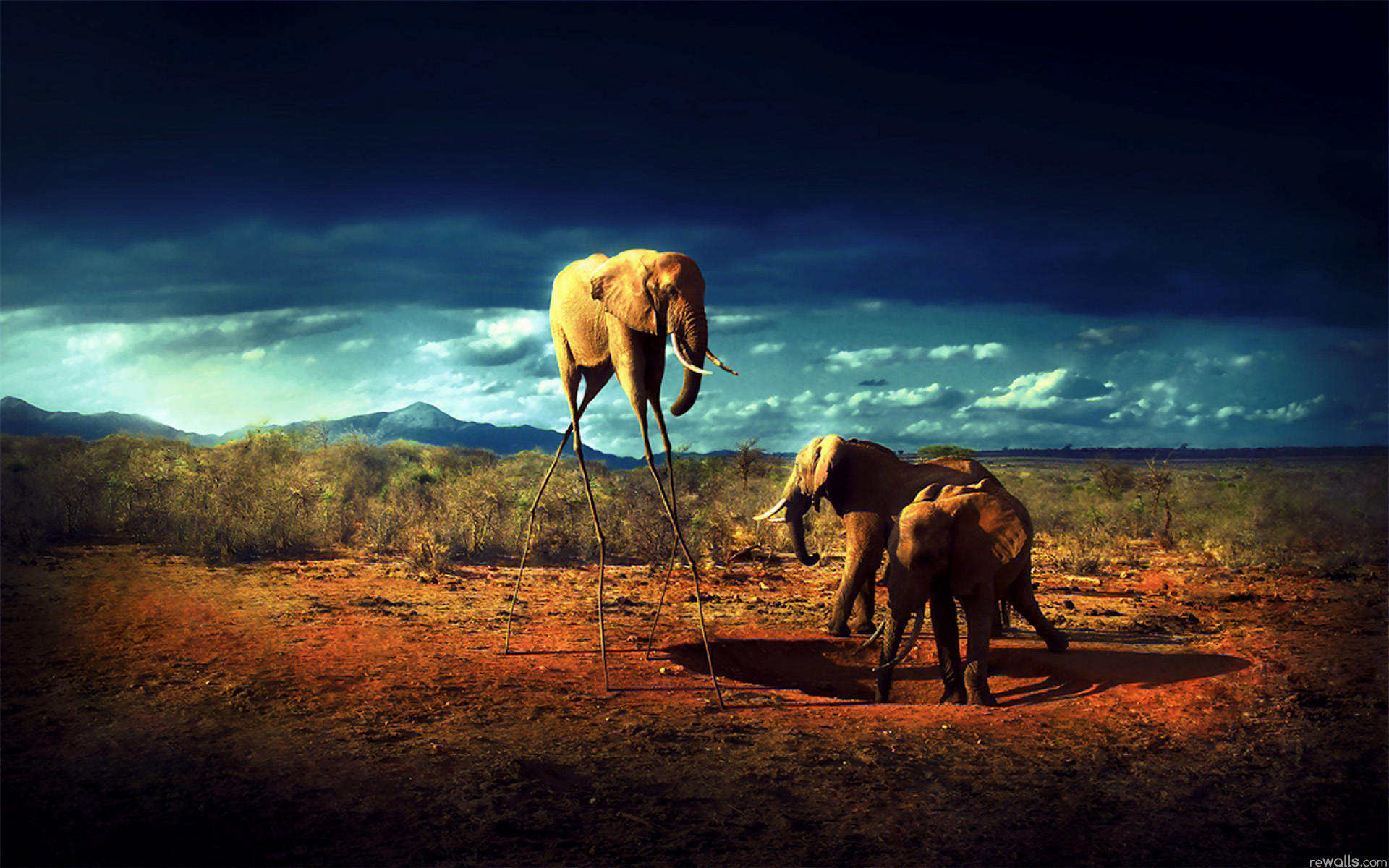 Обои pustynya, zhivotnye, slon, slony, afrika разрешение 1920x1200 Загрузить