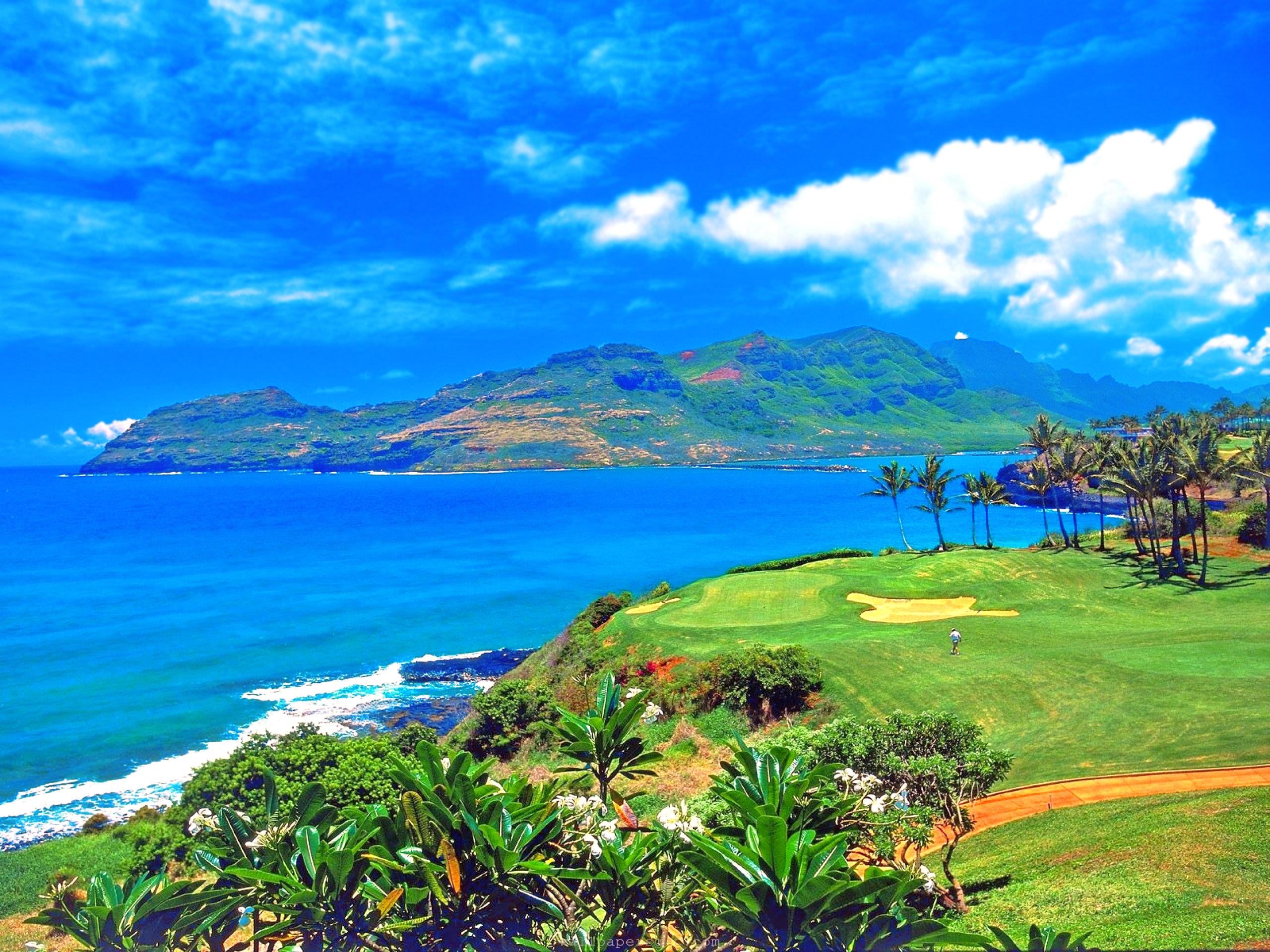 Golf Hawaii бесплатно