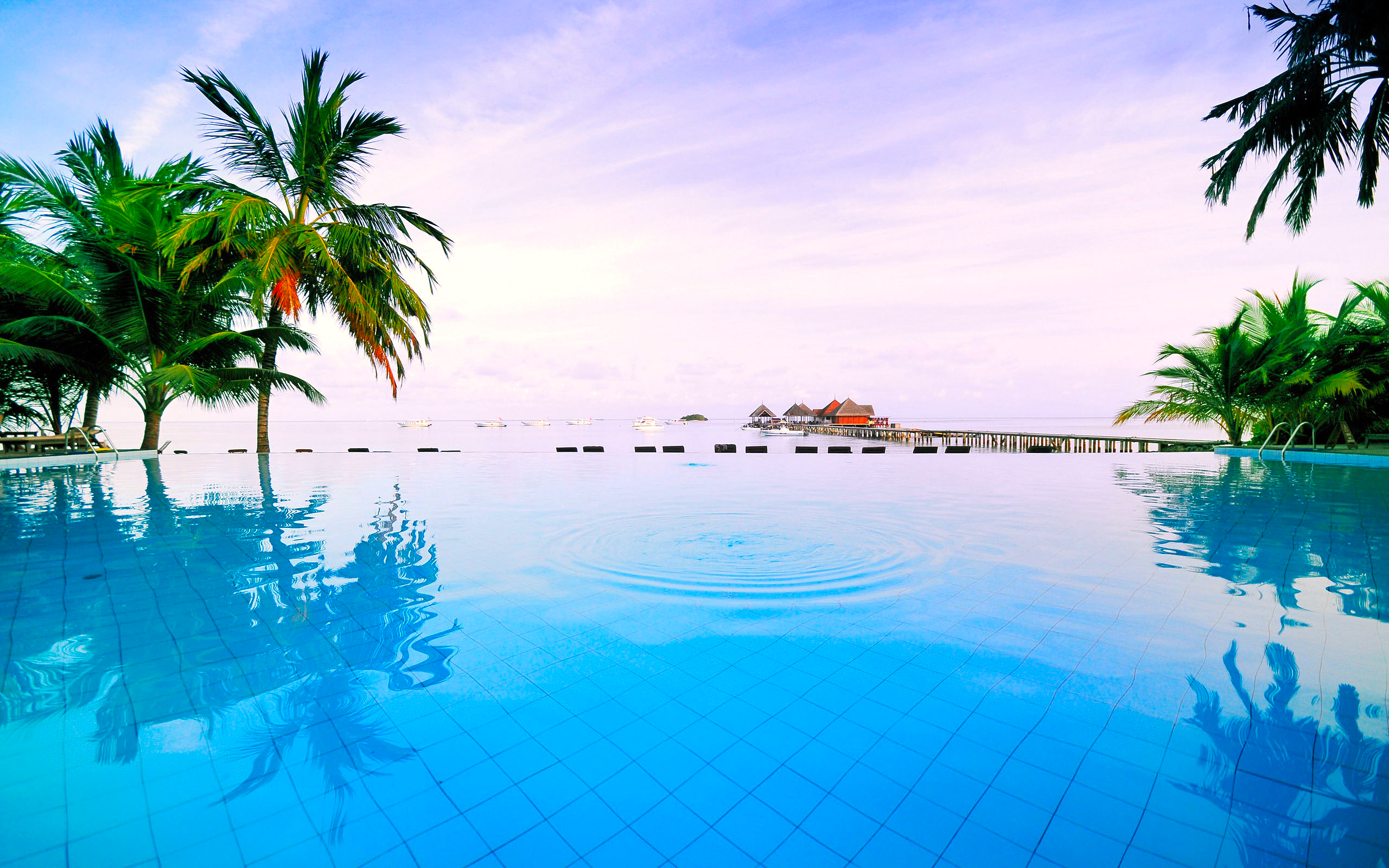 пальмы бассейн курорт бесплатно