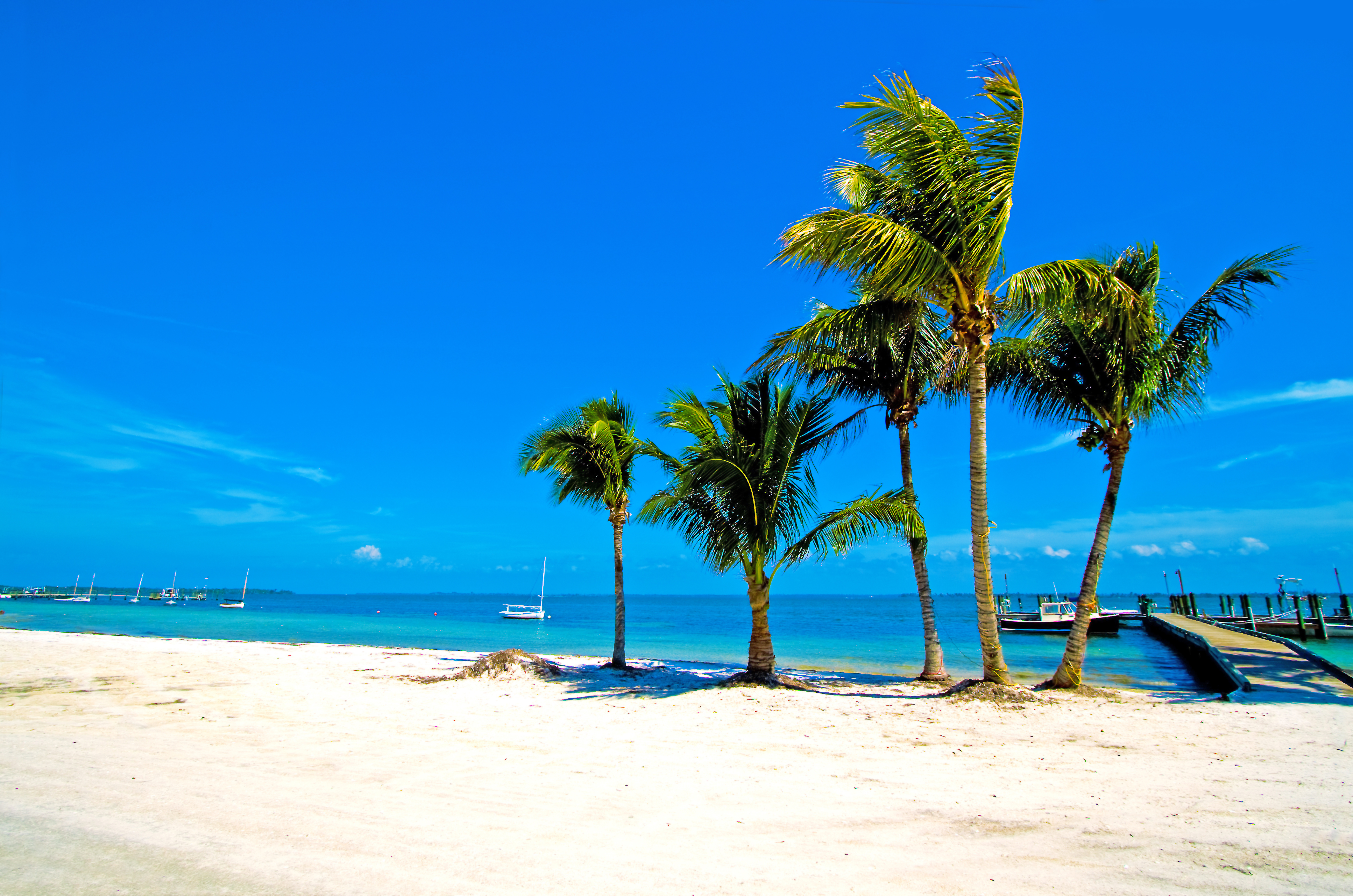 Пальмы Майами Бич пляж