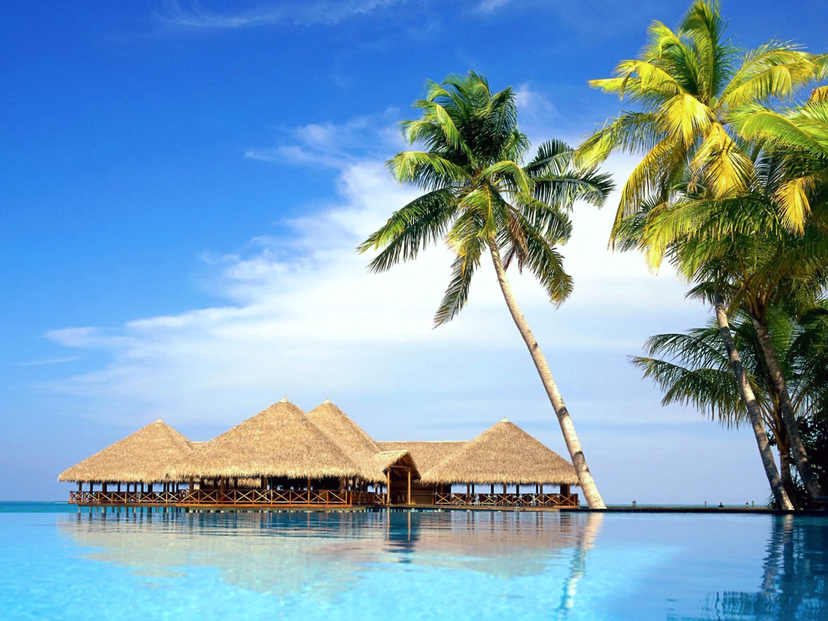 море пляж бунгало пальмы курорт бесплатно