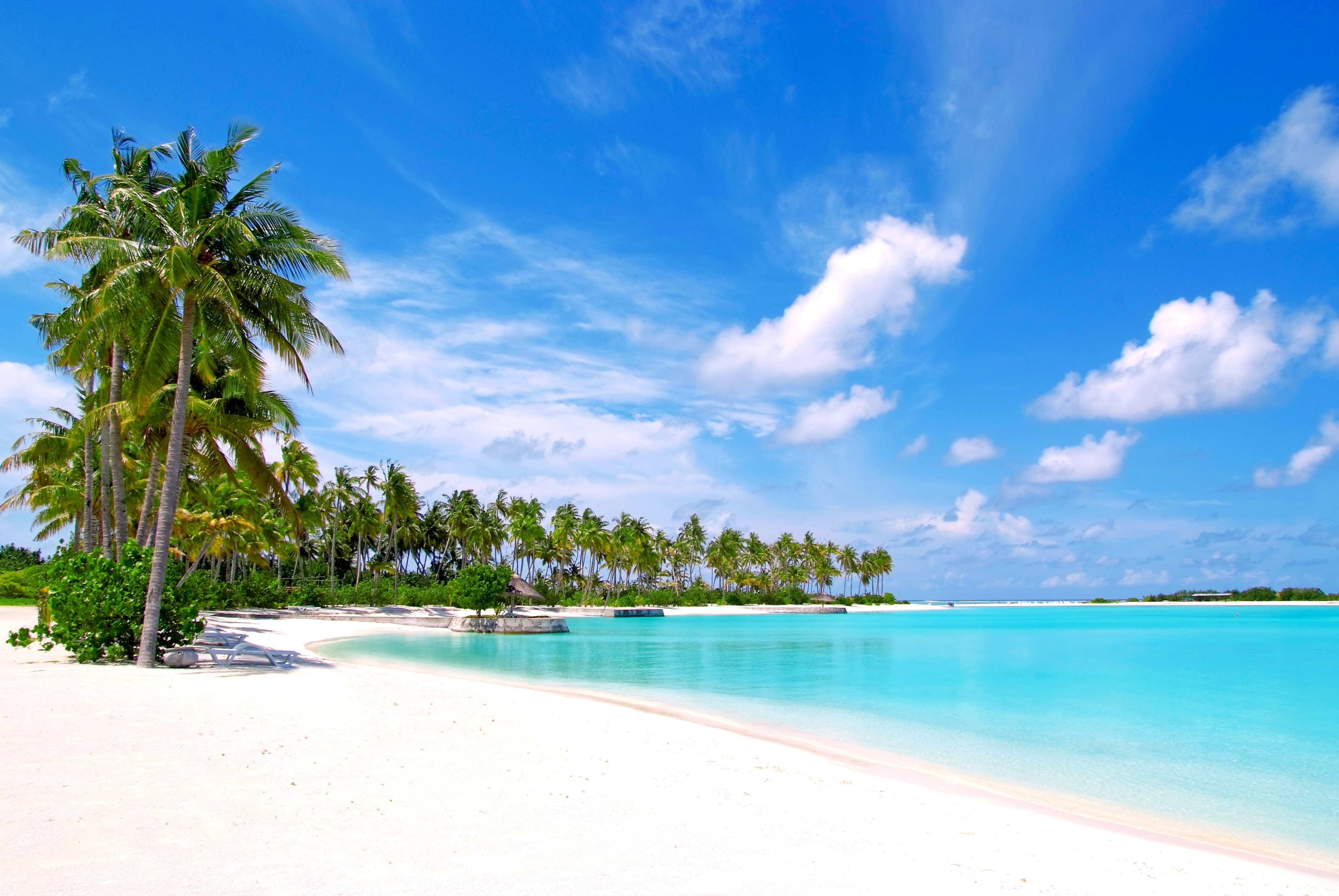Better and island. Райский остров Доминикана. Карибское море Доминикана. Канары, Карибы, Мальдивы, Сейшелы.. Мальдивы океан.