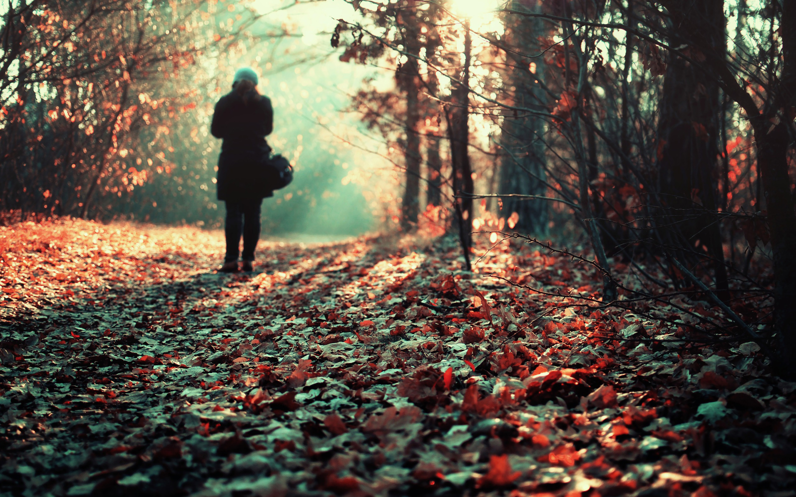 Девушка капюшон лес осень загрузить