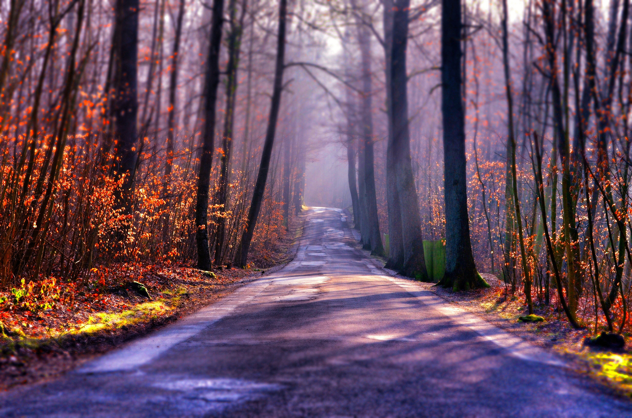 Обои свет, дорога, деревья, туман, осень, light, road, trees, fog, autumn разрешение 2048x1356 Загрузить