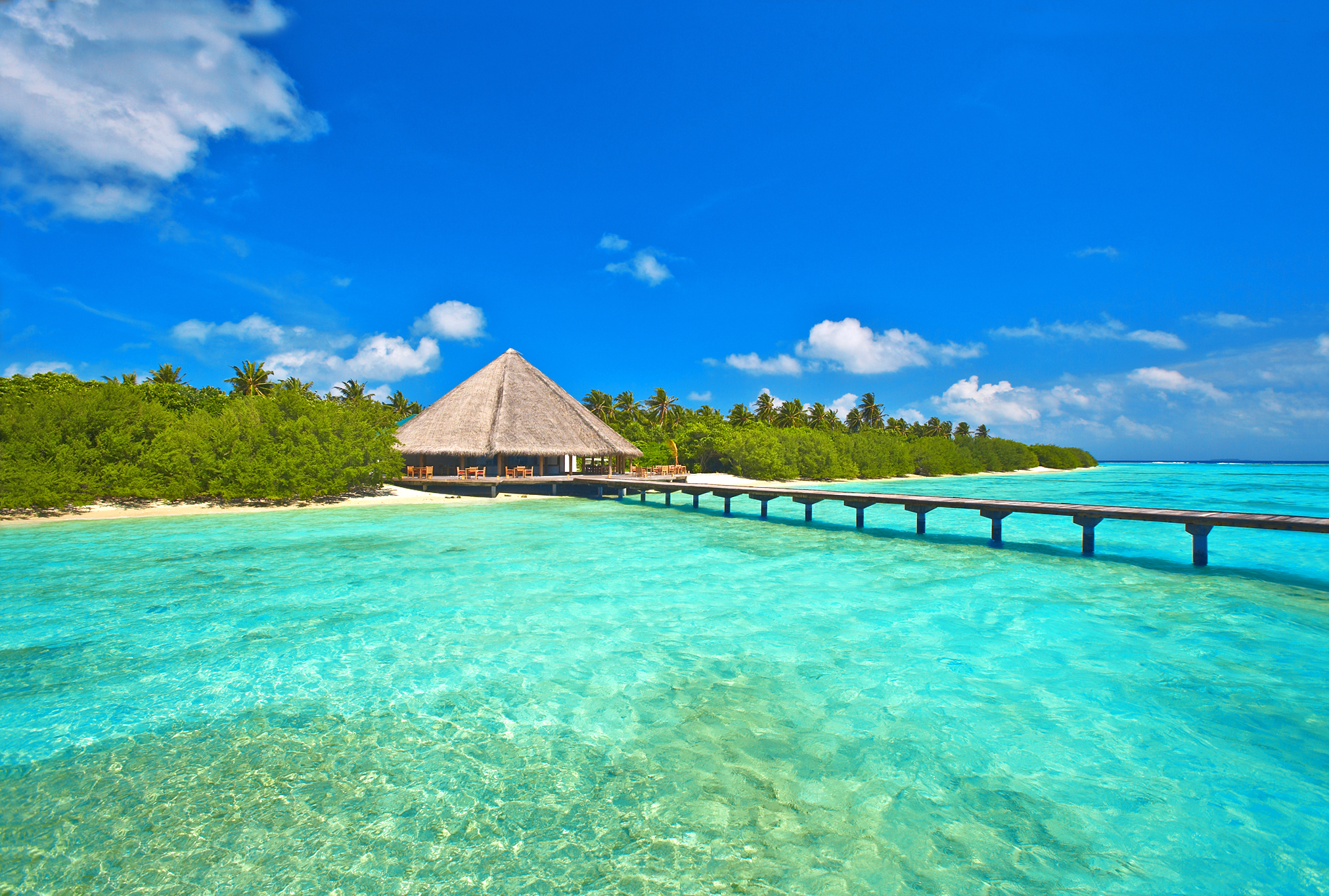 Обои море, пляж, остров, тропики, мальдивы, sea, beach, island, tropics, the maldives разрешение 2023x1365 Загрузить