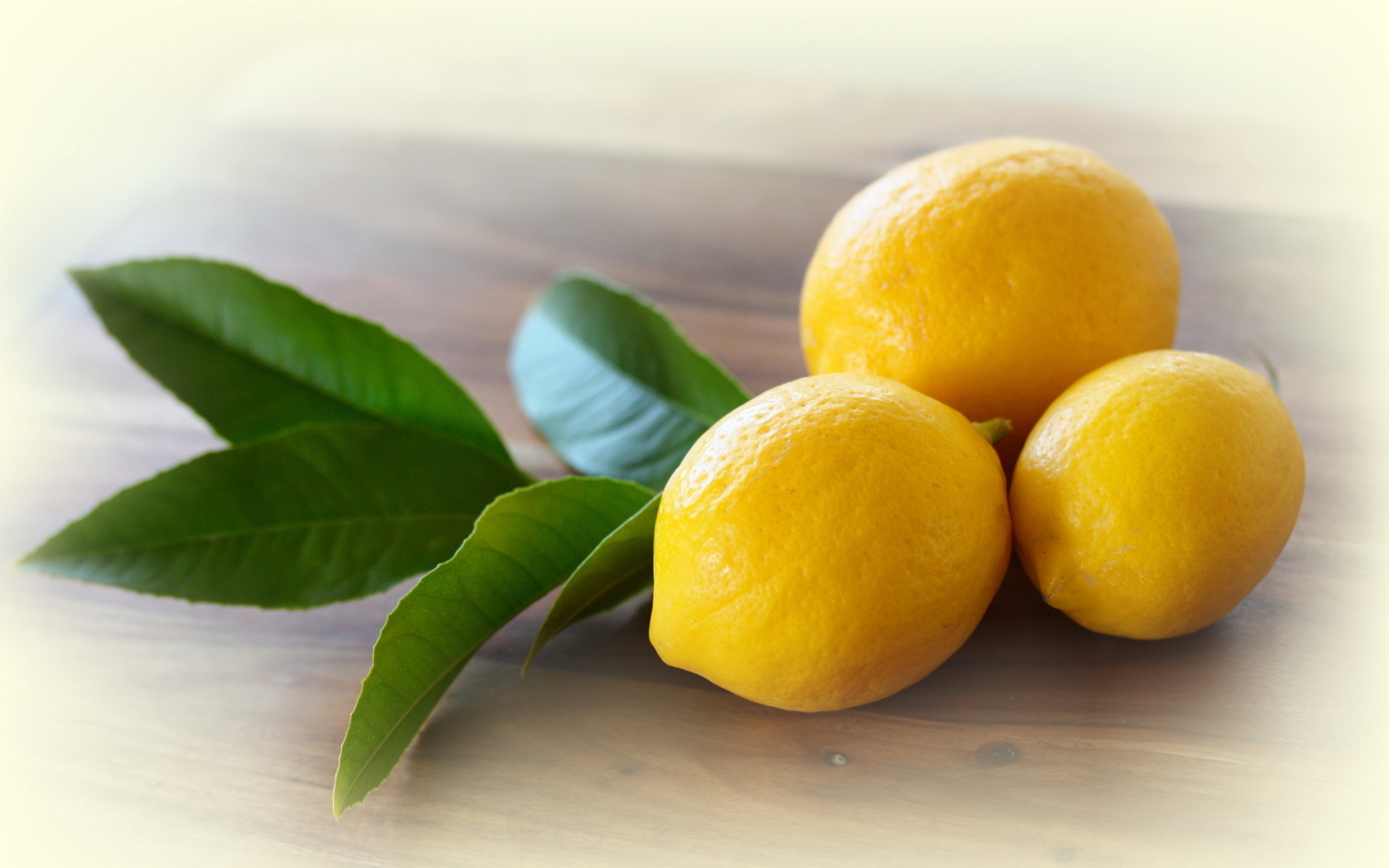 Лимон на ветке капли бесплатно