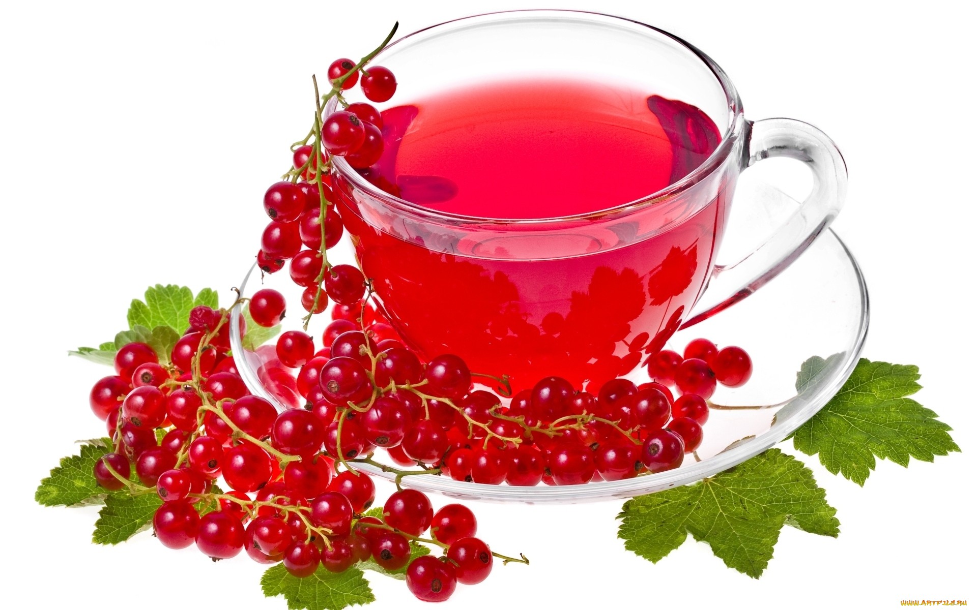 Обои красная, белый фон, чай, смородина, red, white background, tea, currants разрешение 1920x1200 Загрузить